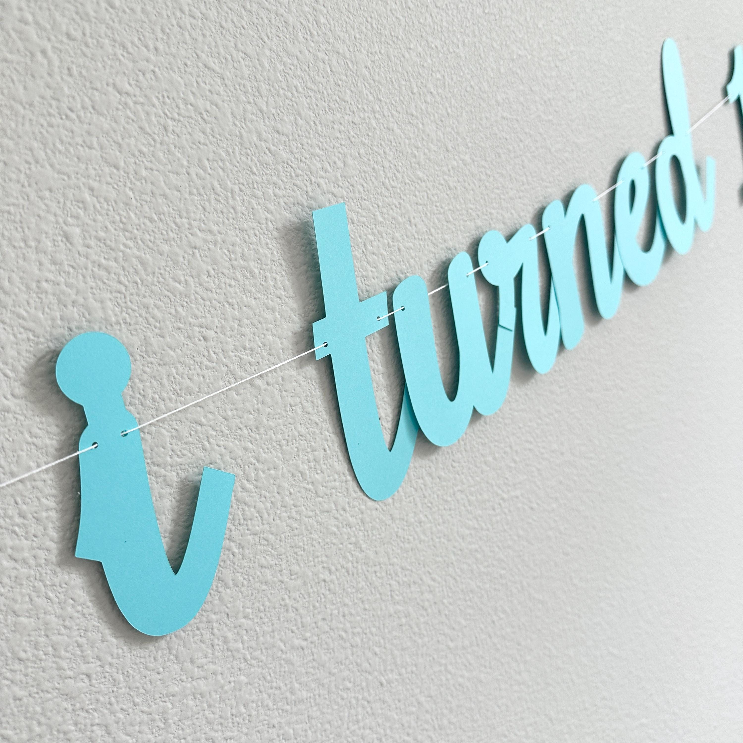 The Summer I Turned 16, 16th Birthday Party, Summertime Birthday Banner, Summer Birthday Decorations, The Summer I Turned 16 Banner