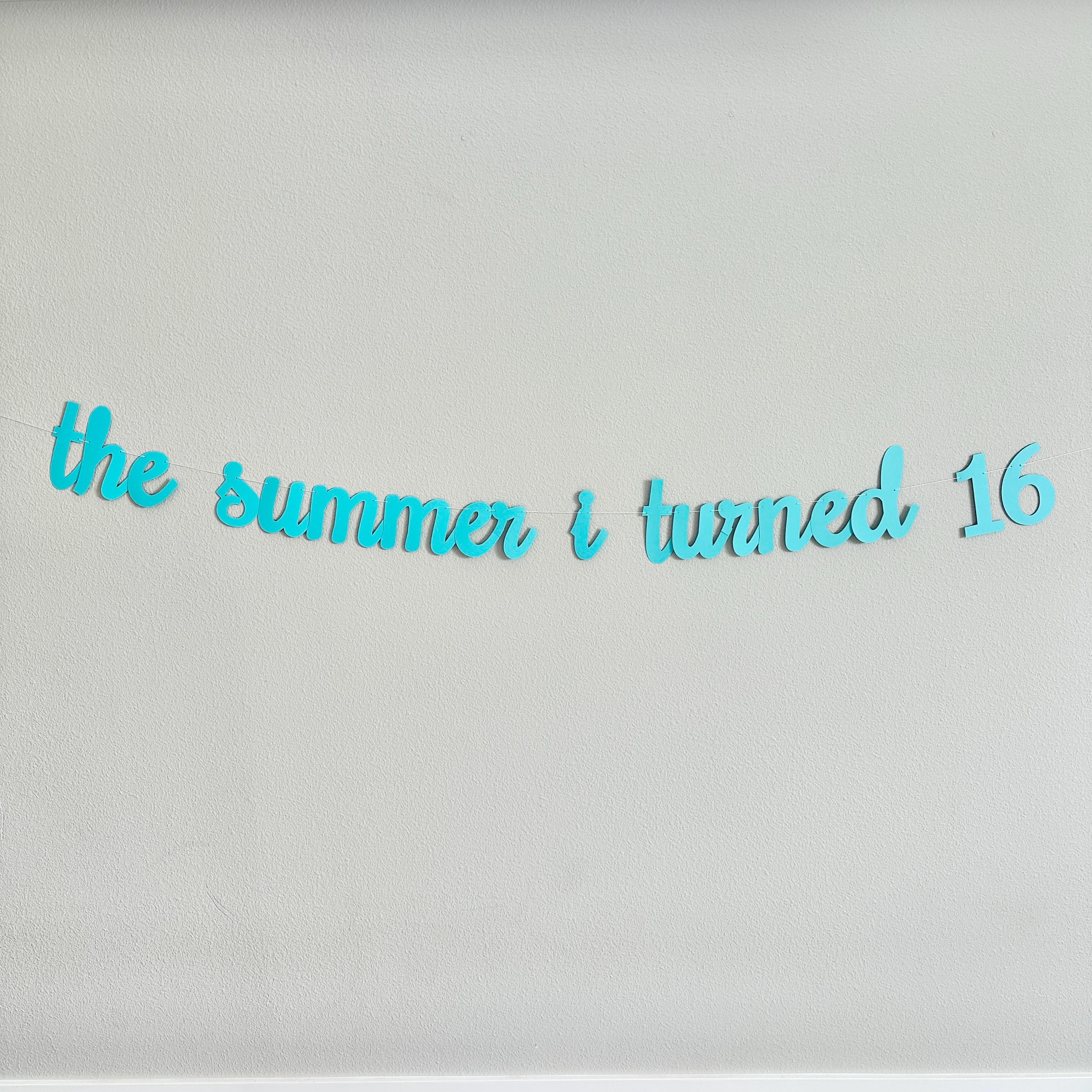The Summer I Turned 16, 16th Birthday Party, Summertime Birthday Banner, Summer Birthday Decorations, The Summer I Turned 16 Banner