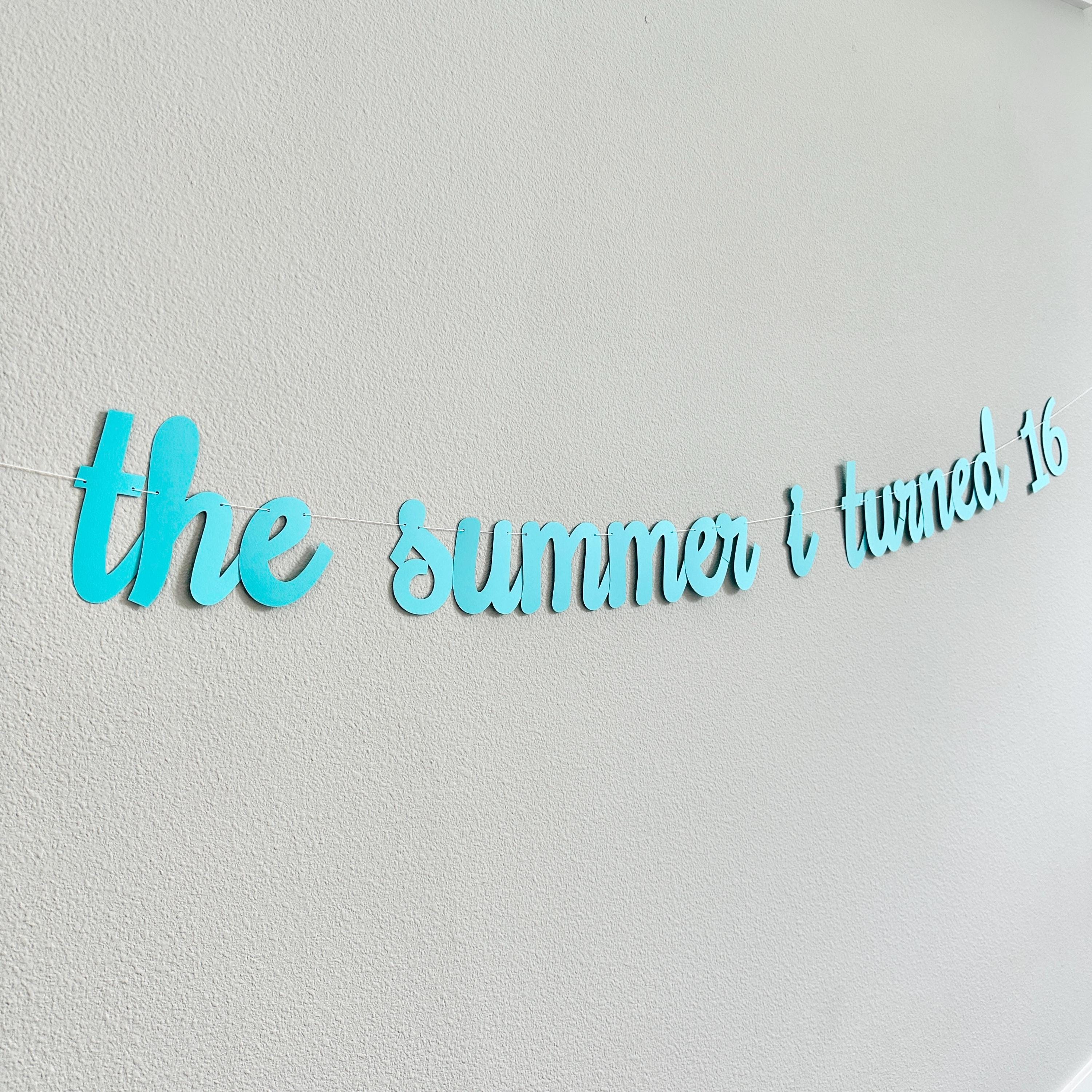 The Summer I Turned 16, 16th Birthday Party, Summertime Birthday Banner, Summer Birthday Decorations, The Summer I Turned 16 Banner