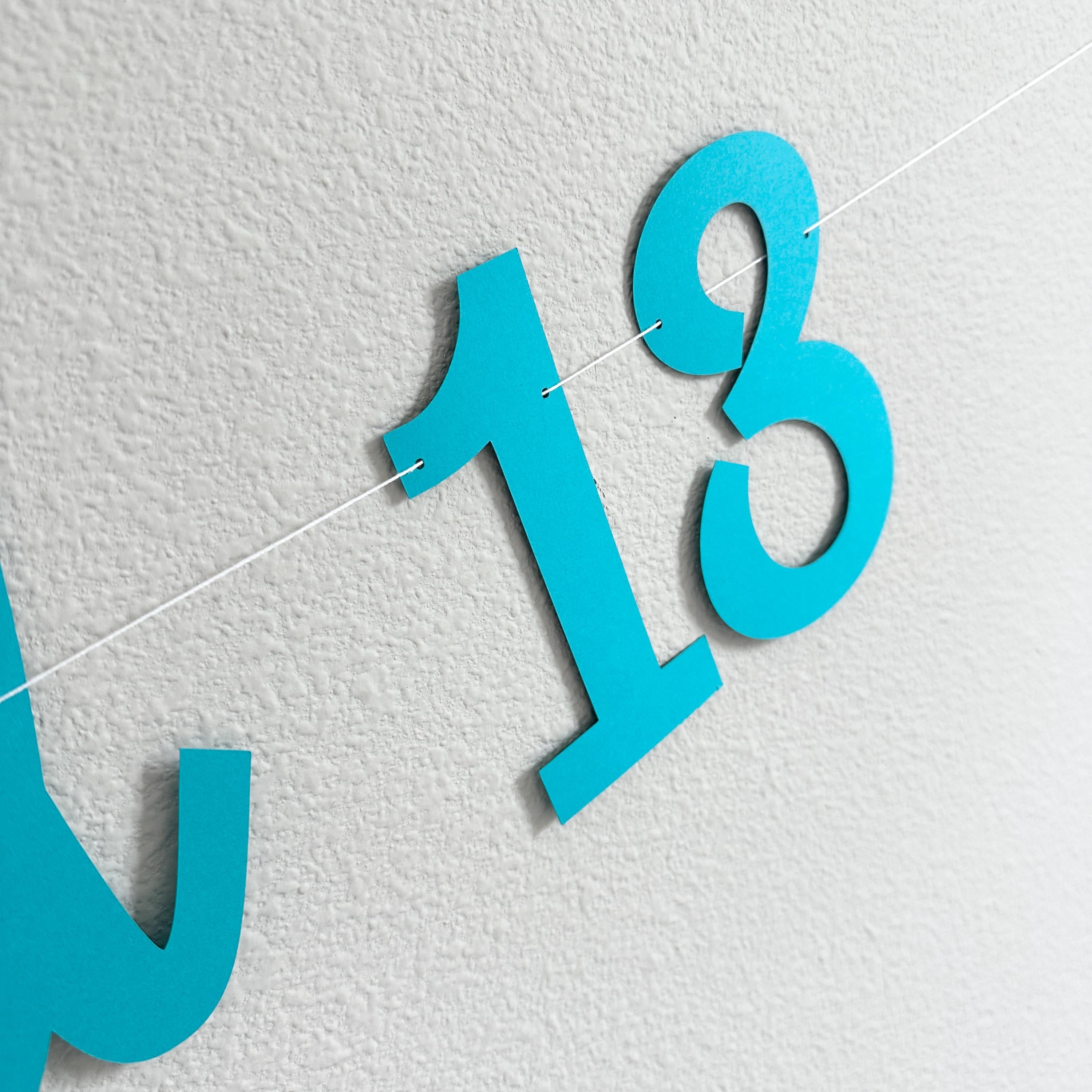 The Summer I Turned 13, 13th Birthday Party, Summertime Birthday Banner, Summer Birthday Decorations, The Summer I Turned 13 Banner