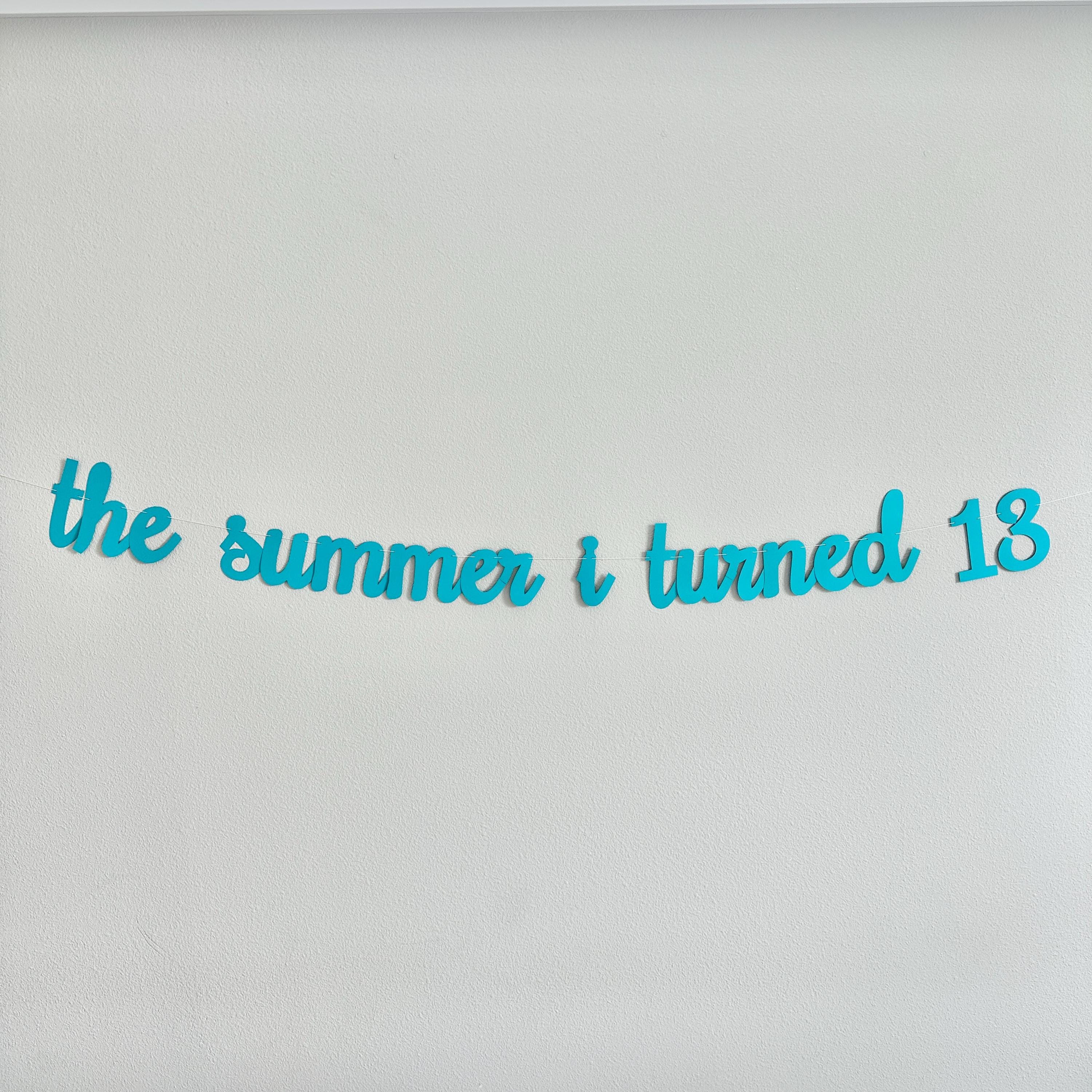 The Summer I Turned 13, 13th Birthday Party, Summertime Birthday Banner, Summer Birthday Decorations, The Summer I Turned 13 Banner