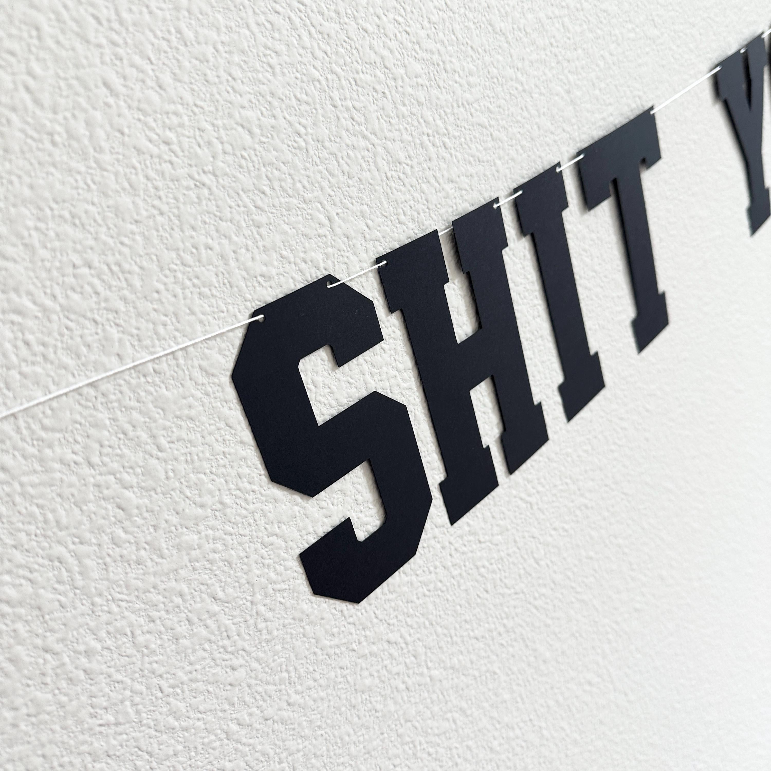 Holy Shit You&#39;re 50, 50th Birthday Banner, 50th Birthday Party Decorations, Funny Birthday Decorations, Funny Birthday Banner