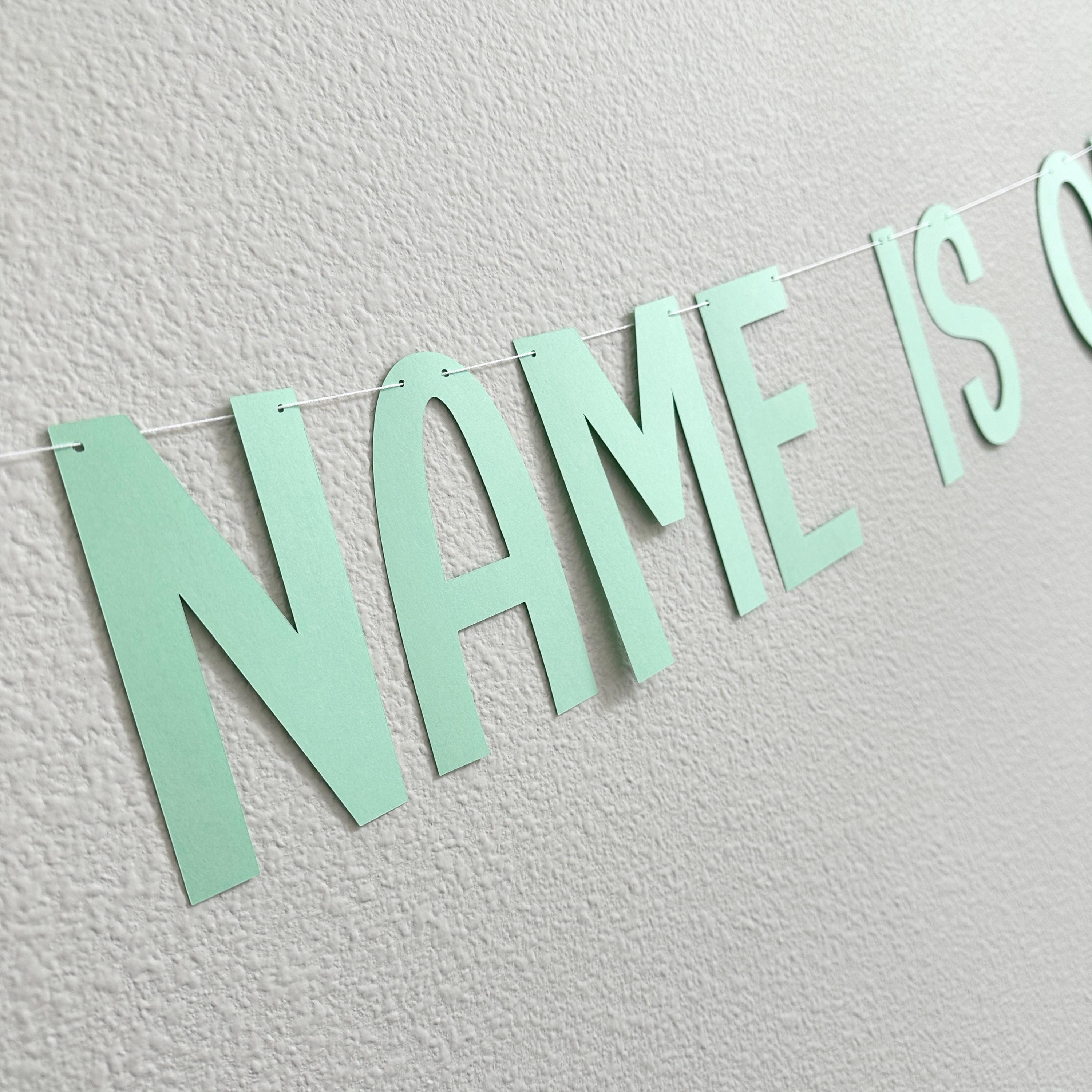 One-Asauraus, Dinosaur 1st Birthday Decorations, Name Is One-Asauraus, Dinosaur Party Banner, 1st Birthday Party Decorations