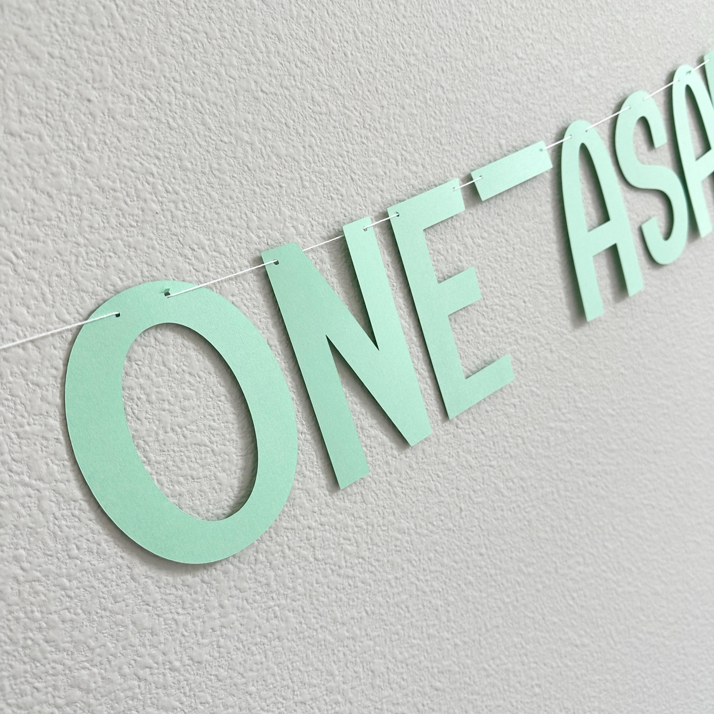 One-Asauraus, Dinosaur 1st Birthday Decorations, Name Is One-Asauraus, Dinosaur Party Banner, 1st Birthday Party Decorations