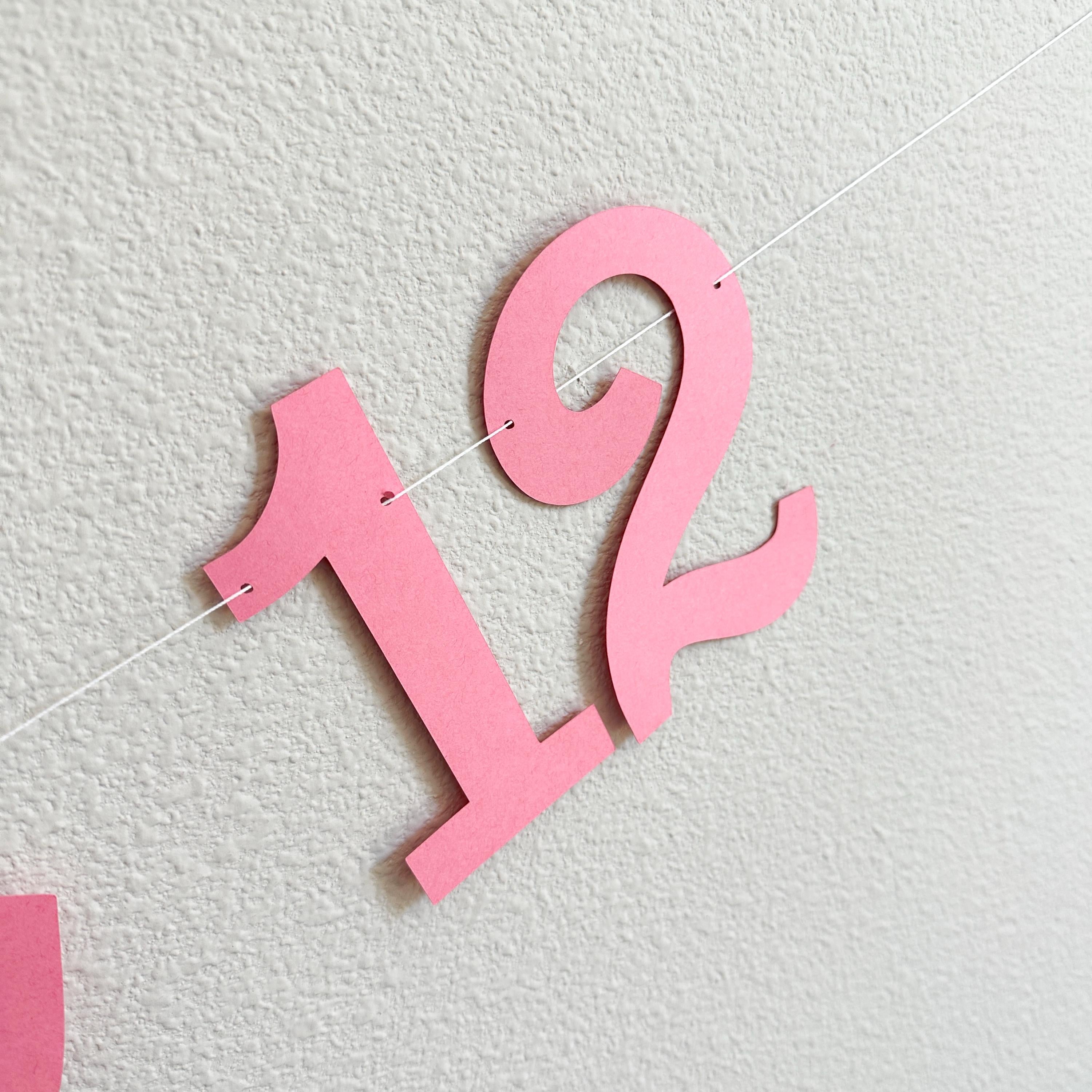 The Summer I Turned 12, 12th Birthday Party, Summertime Birthday Banner, Summer Birthday Decorations, The Summer I Turned 12 Banner