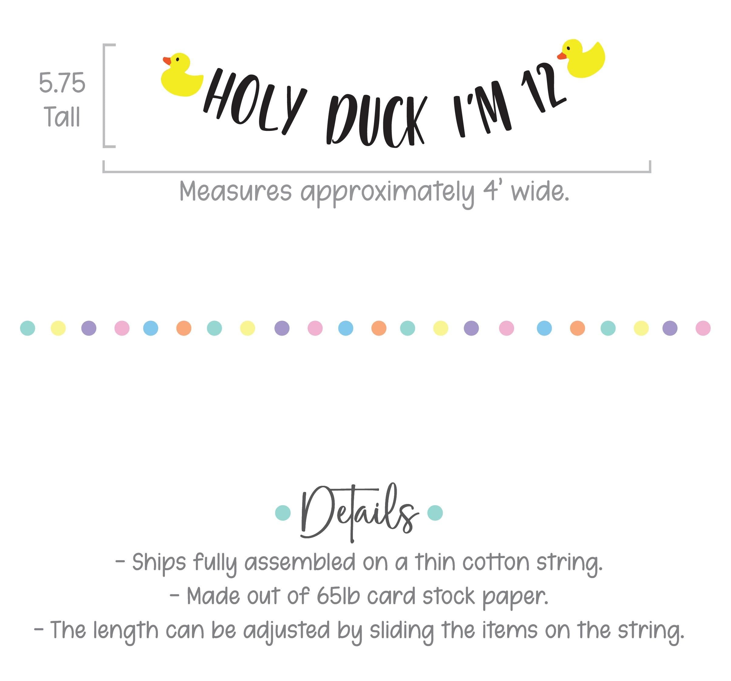 Holy Duck I&#39;m 12, 12th Birthday Party Decorations, 12th Birthday Ideas, Duck Party, Custom Duck Banner, Rubber Duck Theme, Yellow Ducks