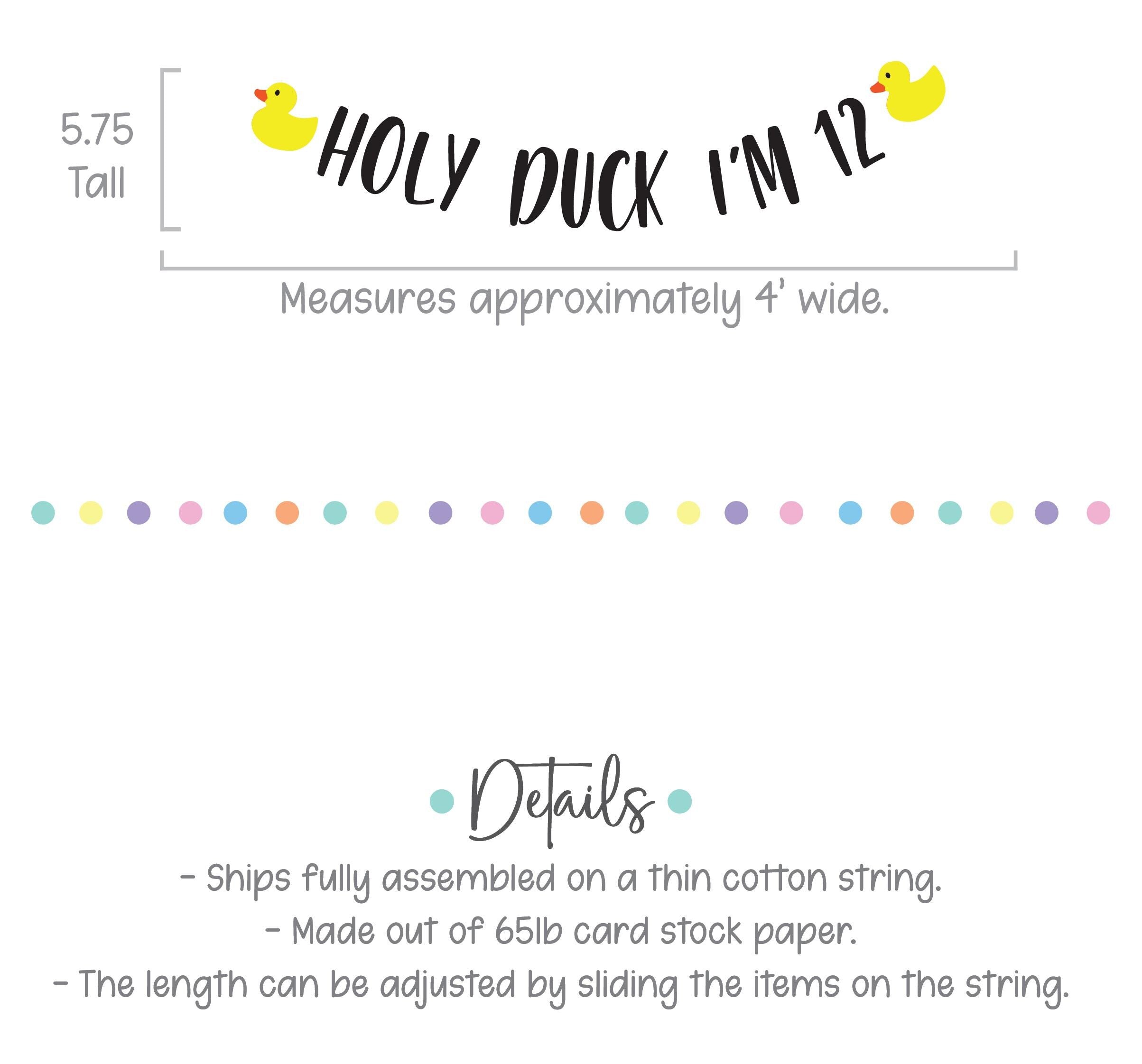 Holy Duck I&#39;m 12, 12th Birthday Party Decorations, 12th Birthday Ideas, Duck Party, Custom Duck Banner, Rubber Duck Theme, Yellow Ducks