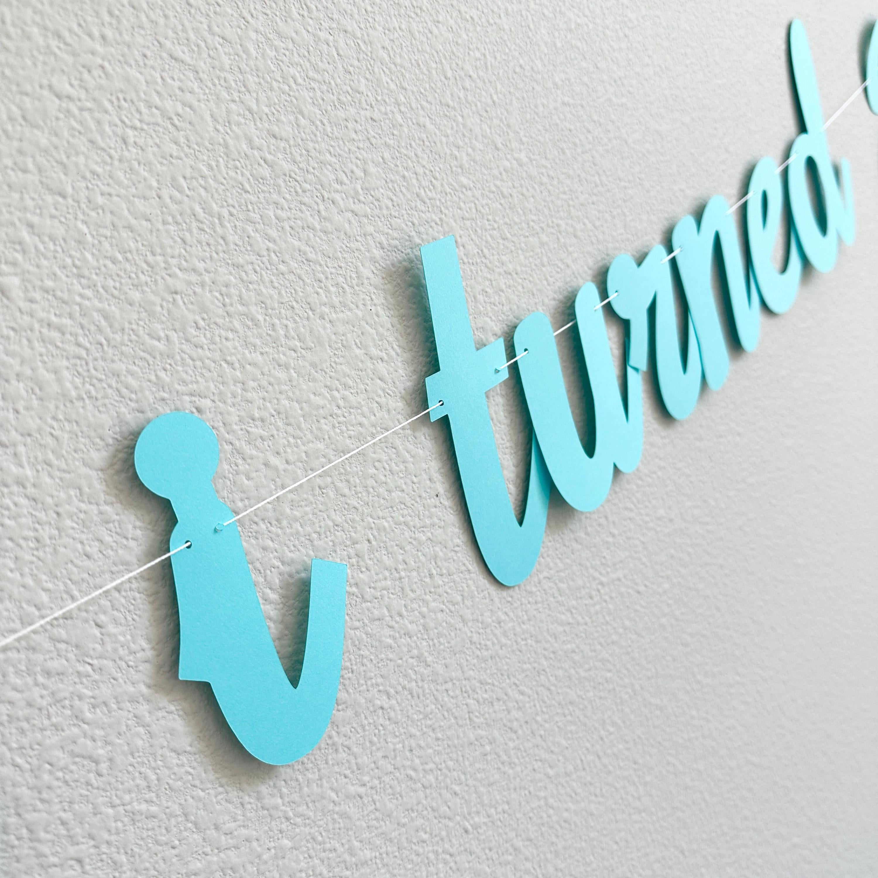 The Summer I Turned 20, 20th Birthday Party, Summertime Birthday Banner, Summer Birthday Decorations, The Summer I Turned 20 Banner