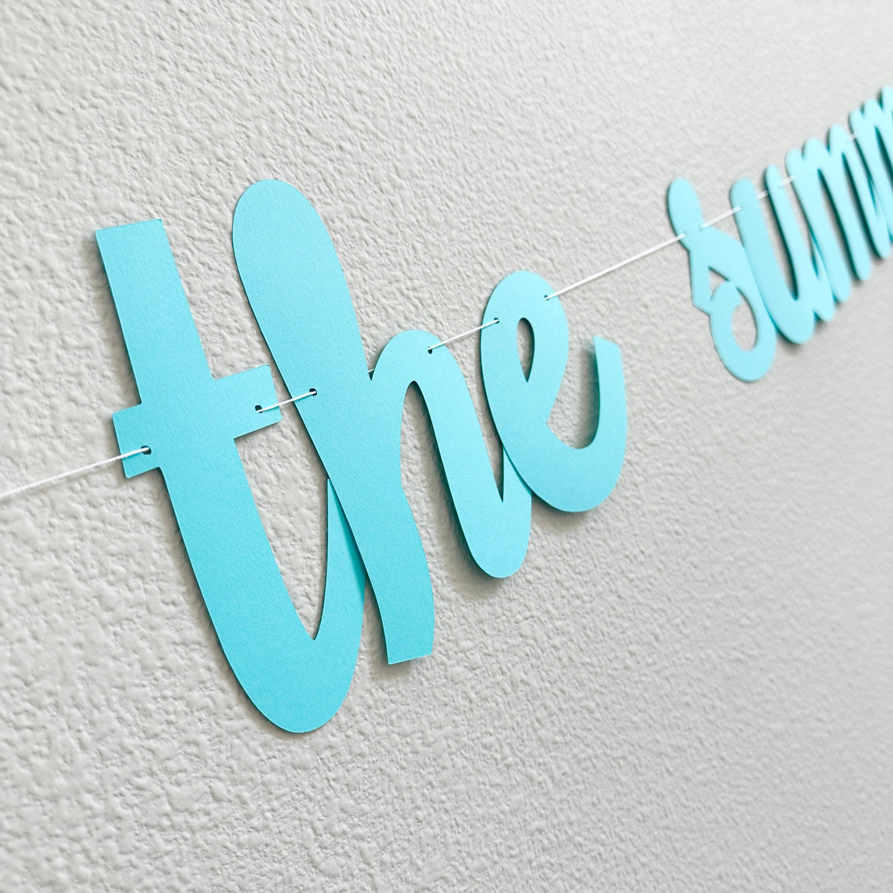 The Summer I Turned 20, 20th Birthday Party, Summertime Birthday Banner, Summer Birthday Decorations, The Summer I Turned 20 Banner