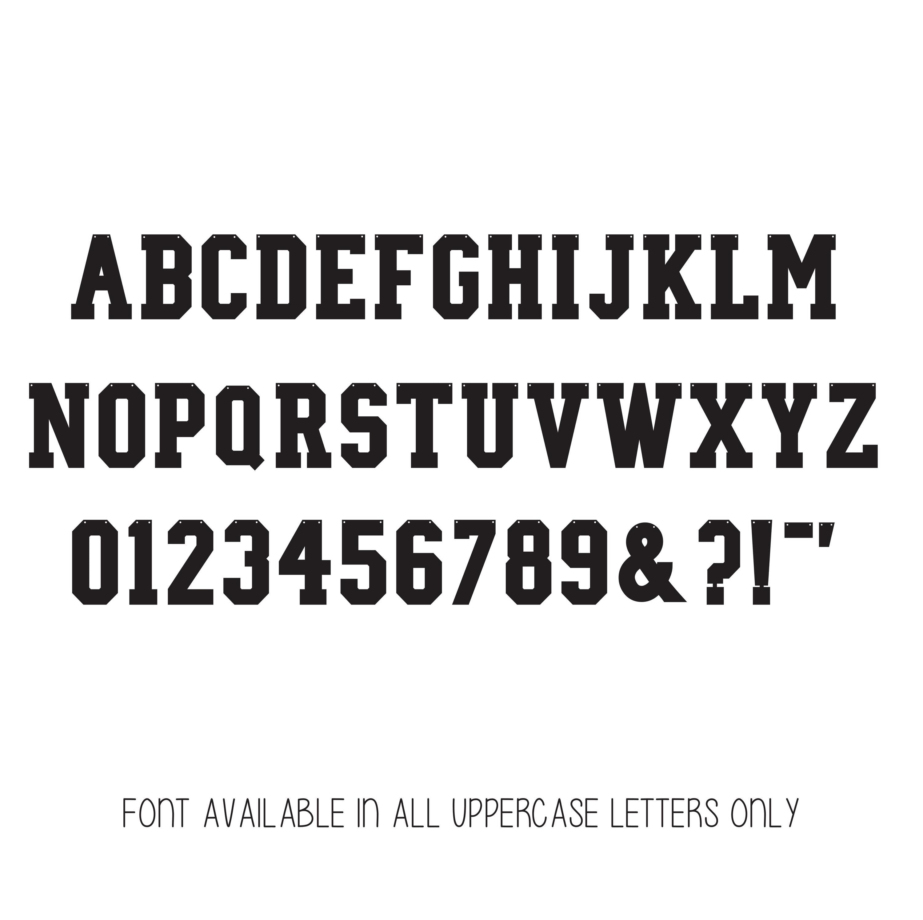 Custom Banner, Custom Collegiate Font, Custom School Banner, Custom College Font Banner, Custom Sports Banner