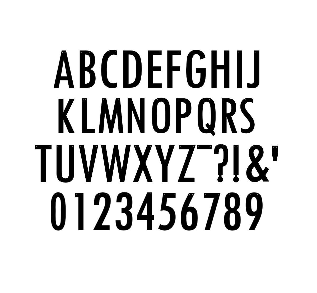 Custom Banner, Custom Showgirl Banner, Custom Orange Banner, Personalized Banner, Personalized Orange Showgirl Banner