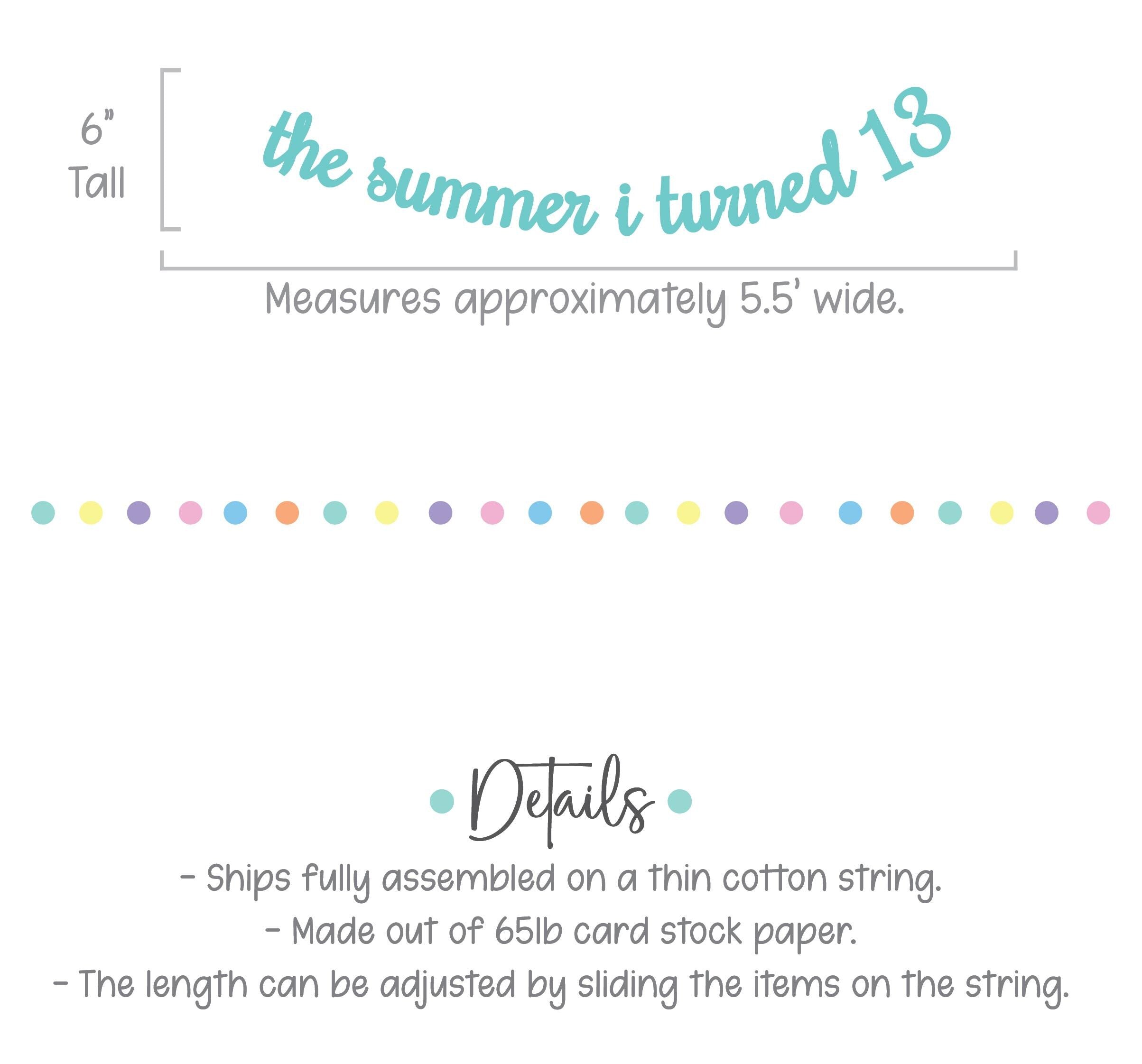 The Summer I Turned 13, 13th Birthday Party, Summertime Birthday Banner, Summer Birthday Decorations, The Summer I Turned 13 Banner
