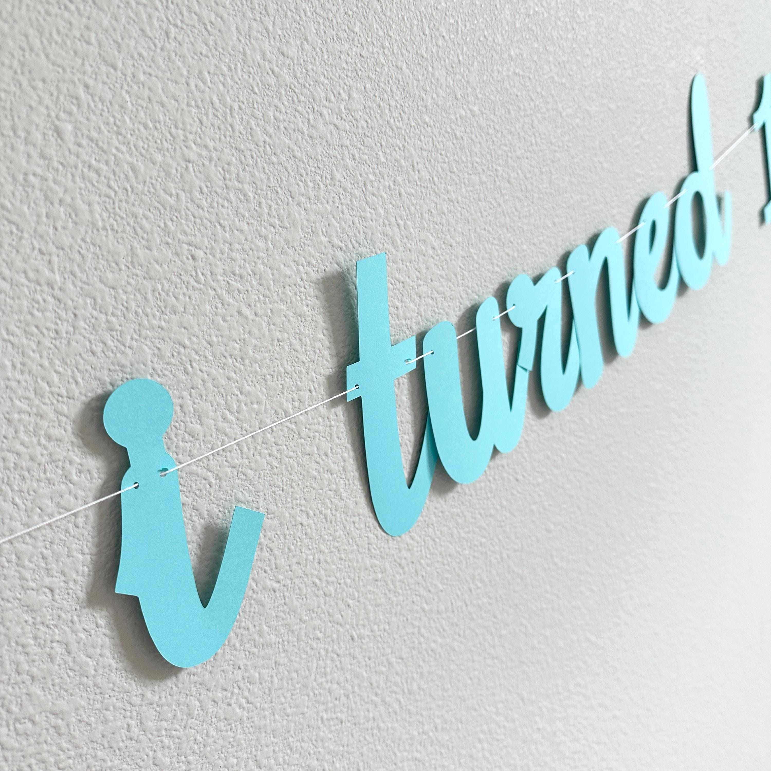 The Summer I Turned 12, Summertime Birthday Banner, Summer Birthday Decorations, The Summer I Turned 12 Banner