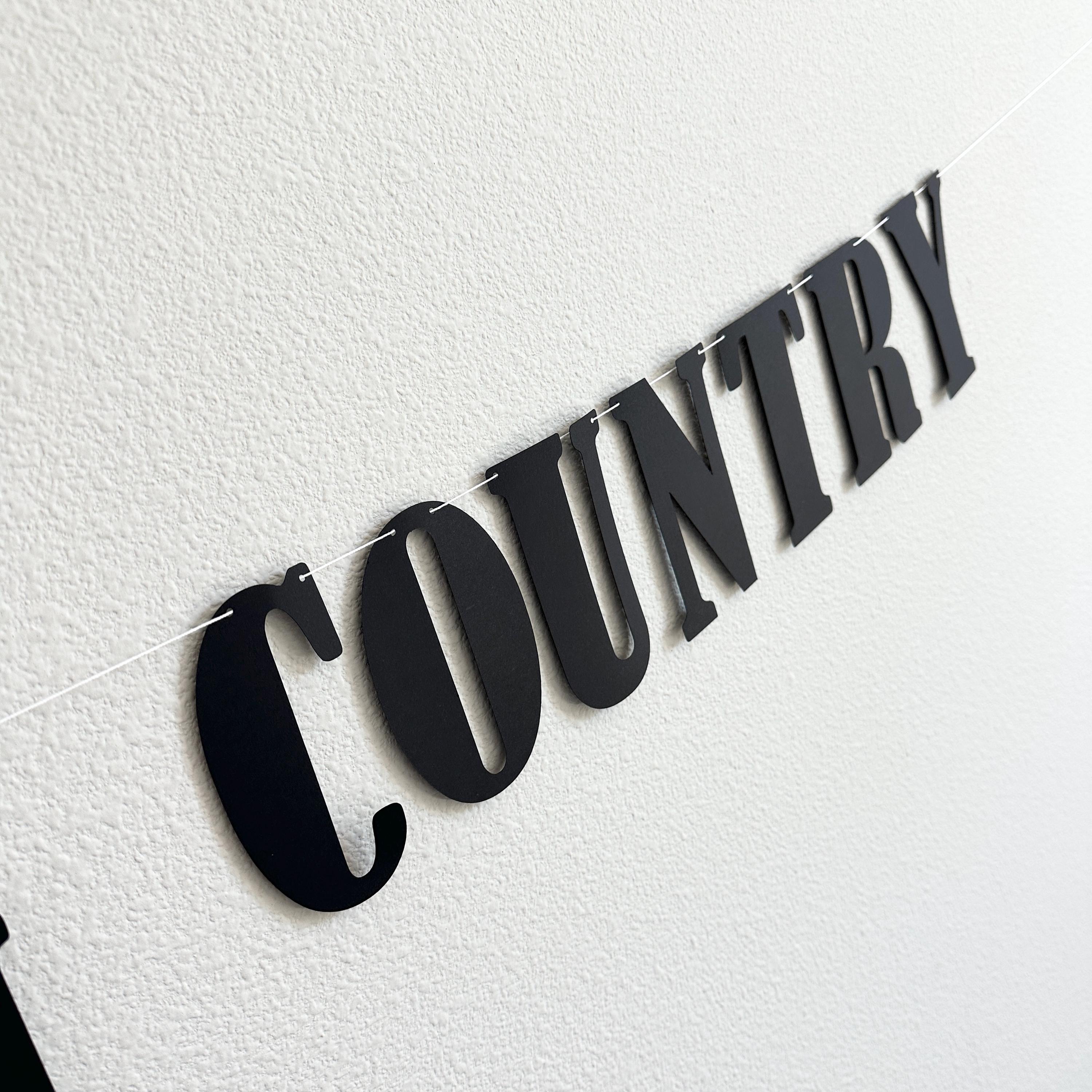 Play Something Country, Play Something Country Banner, Country Party, Country Decorations, Country Theme, Country Birthday Party