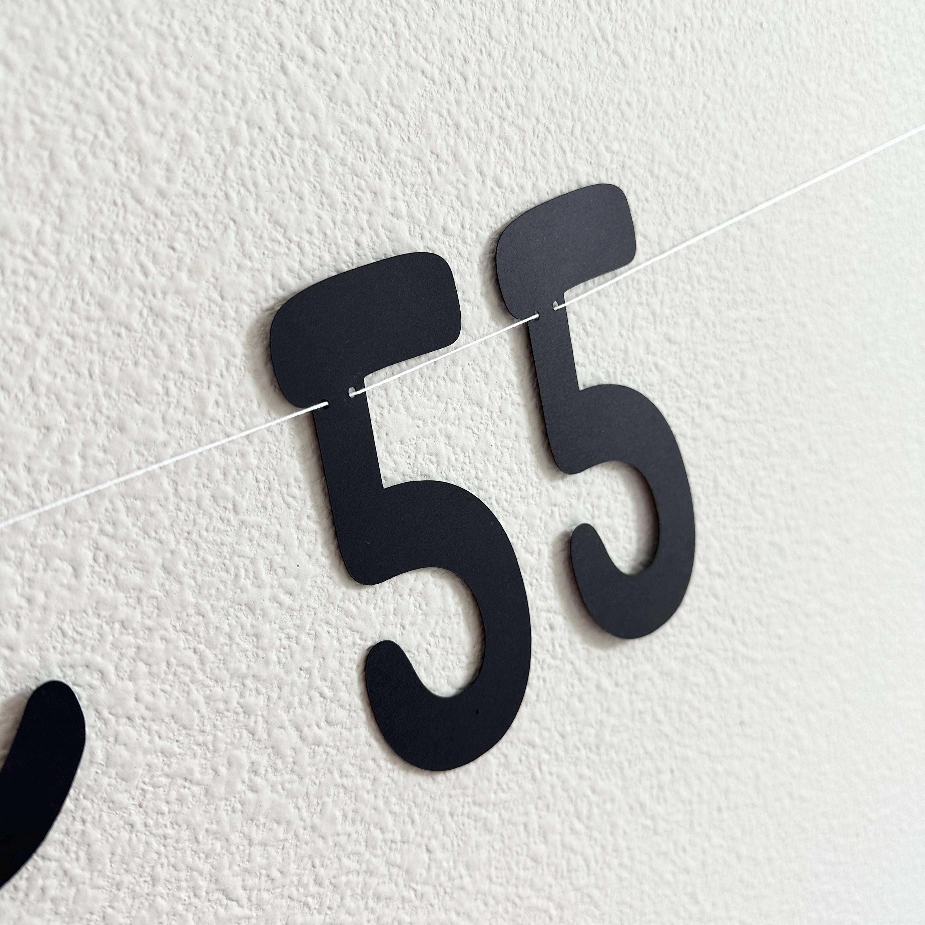 No Limits 55, 55th Birthday Banner, 55th Birthday Party Theme Ideas, No Limits 55 Decorations, 55th Birthday Party Decorations