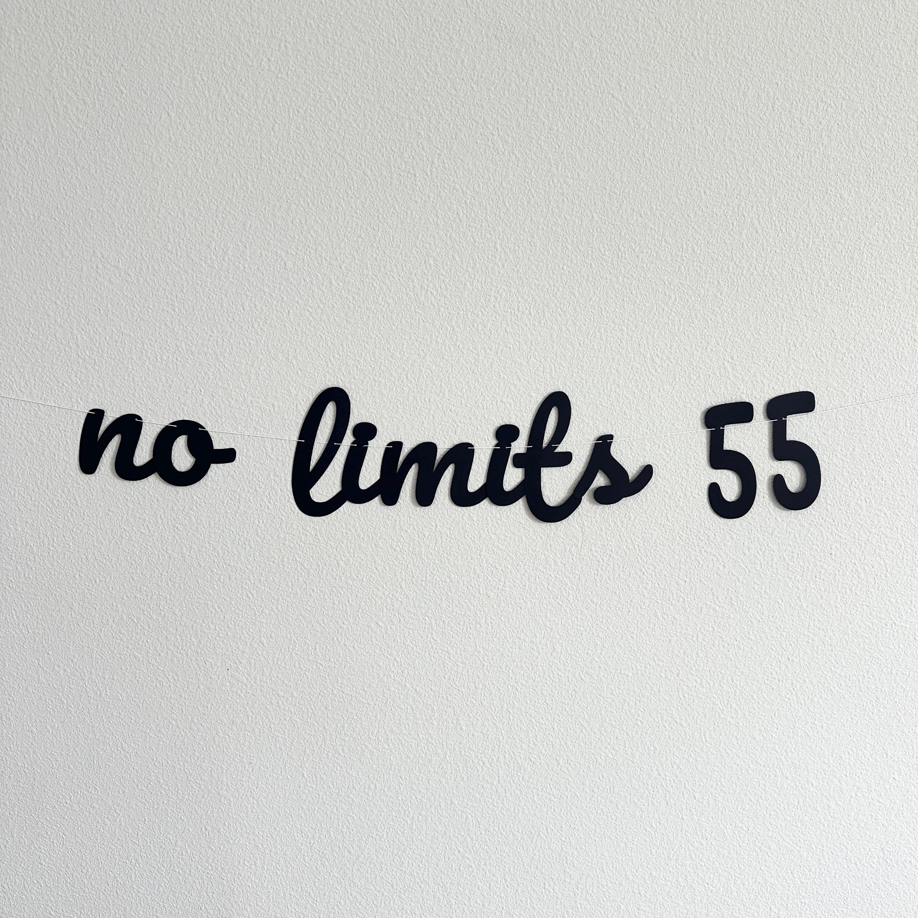 No Limits 55, 55th Birthday Banner, 55th Birthday Party Theme Ideas, No Limits 55 Decorations, 55th Birthday Party Decorations