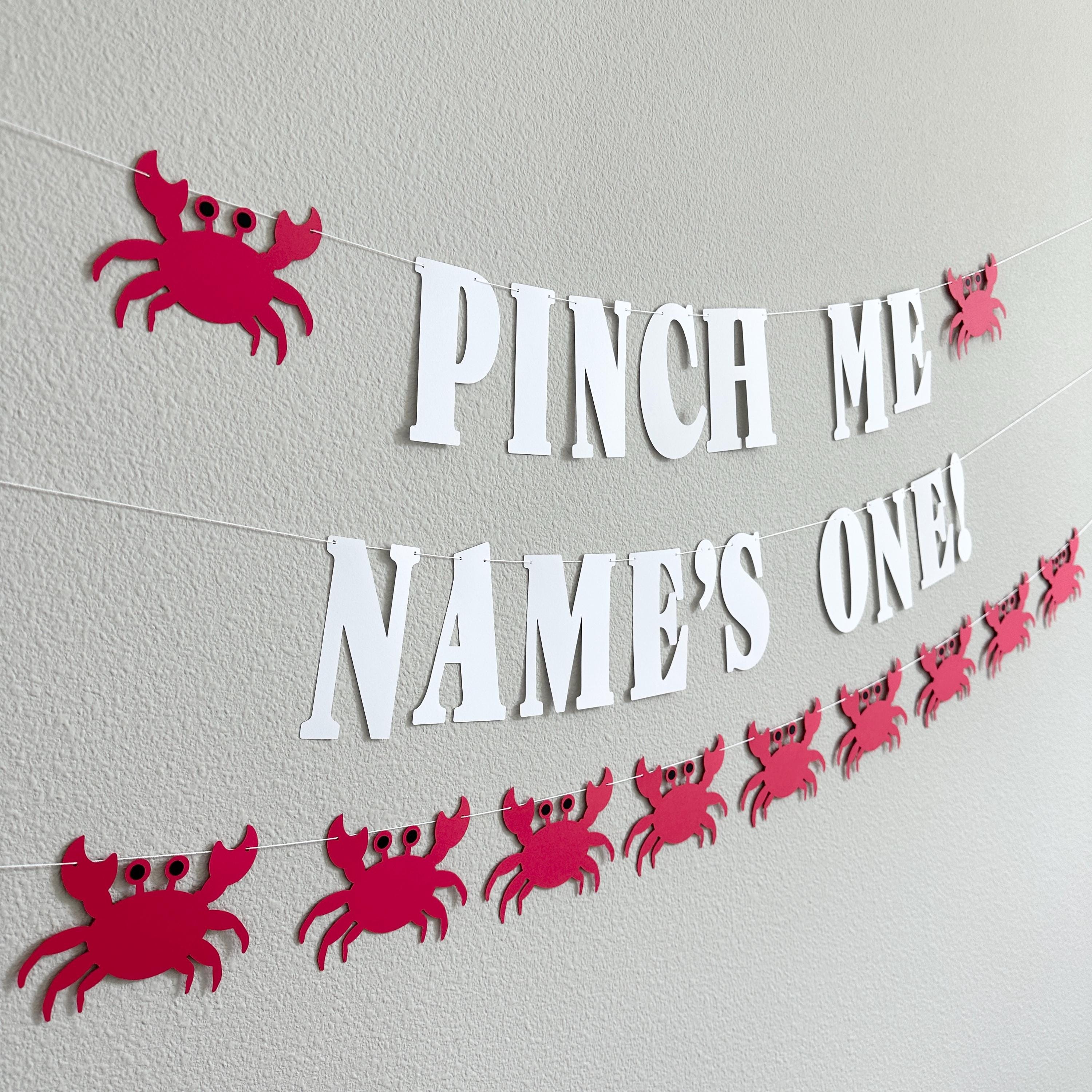 Pinch Me Name&#39;s One Crab Banner, Crab 1st Birthday Decorations, 1st Birthday Theme Ideas, Pinch Me Party