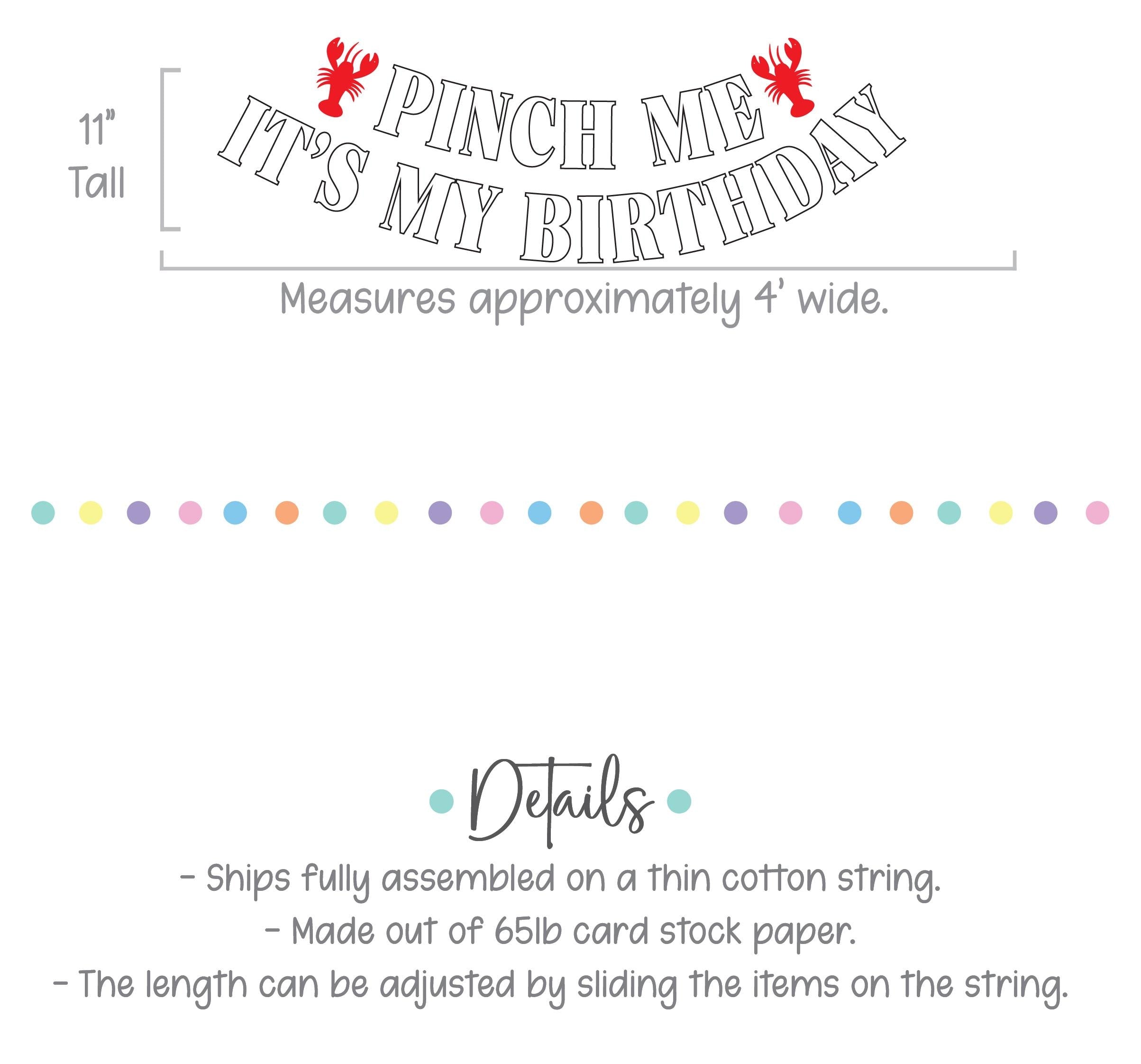 Pinch Me It&#39;s My Birthday Lobster Banner, Lobster Birthday Decorations, Pinch Me Party Lobster Decorations