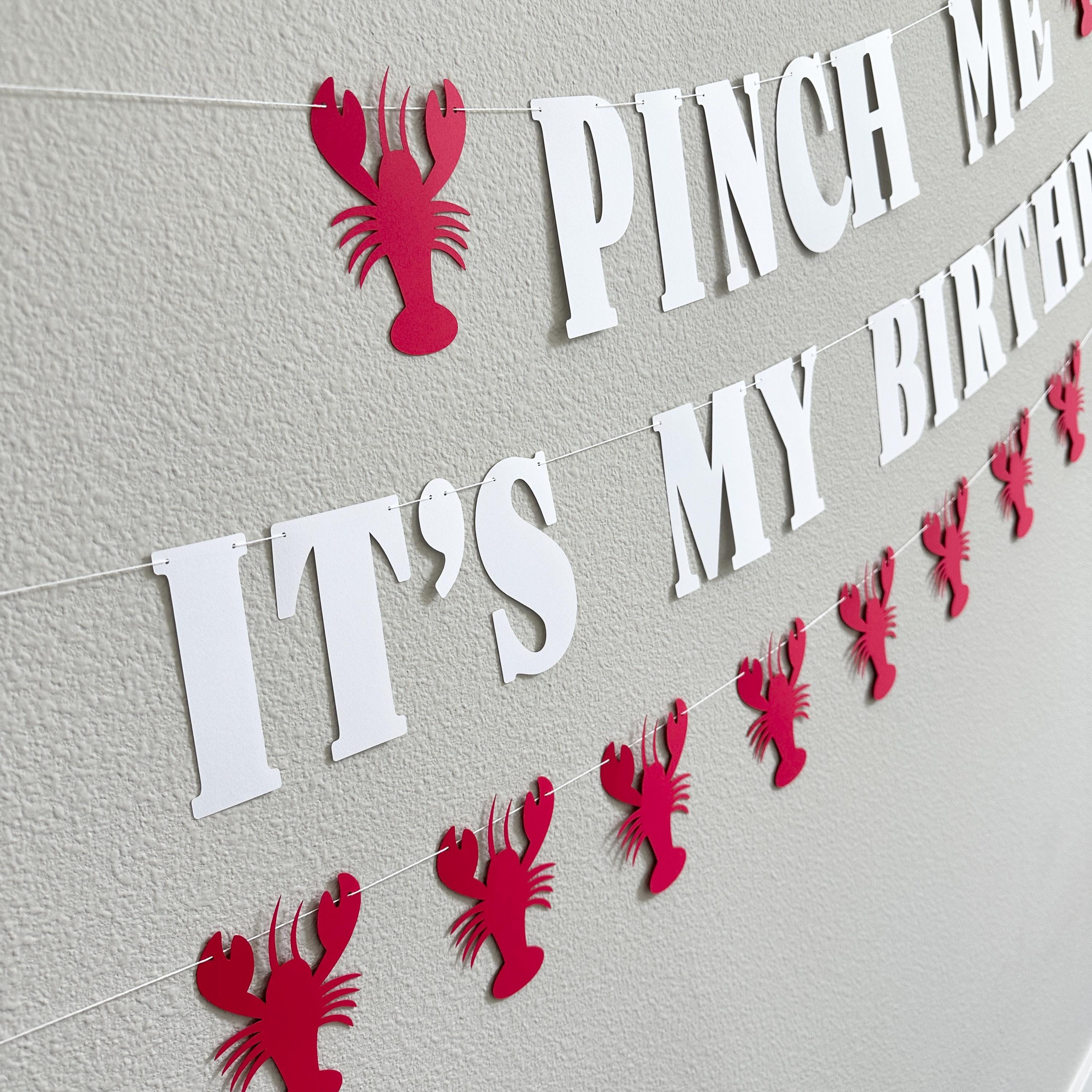 Pinch Me It&#39;s My Birthday Lobster Banner, Lobster Birthday Decorations, Pinch Me Party Lobster Decorations