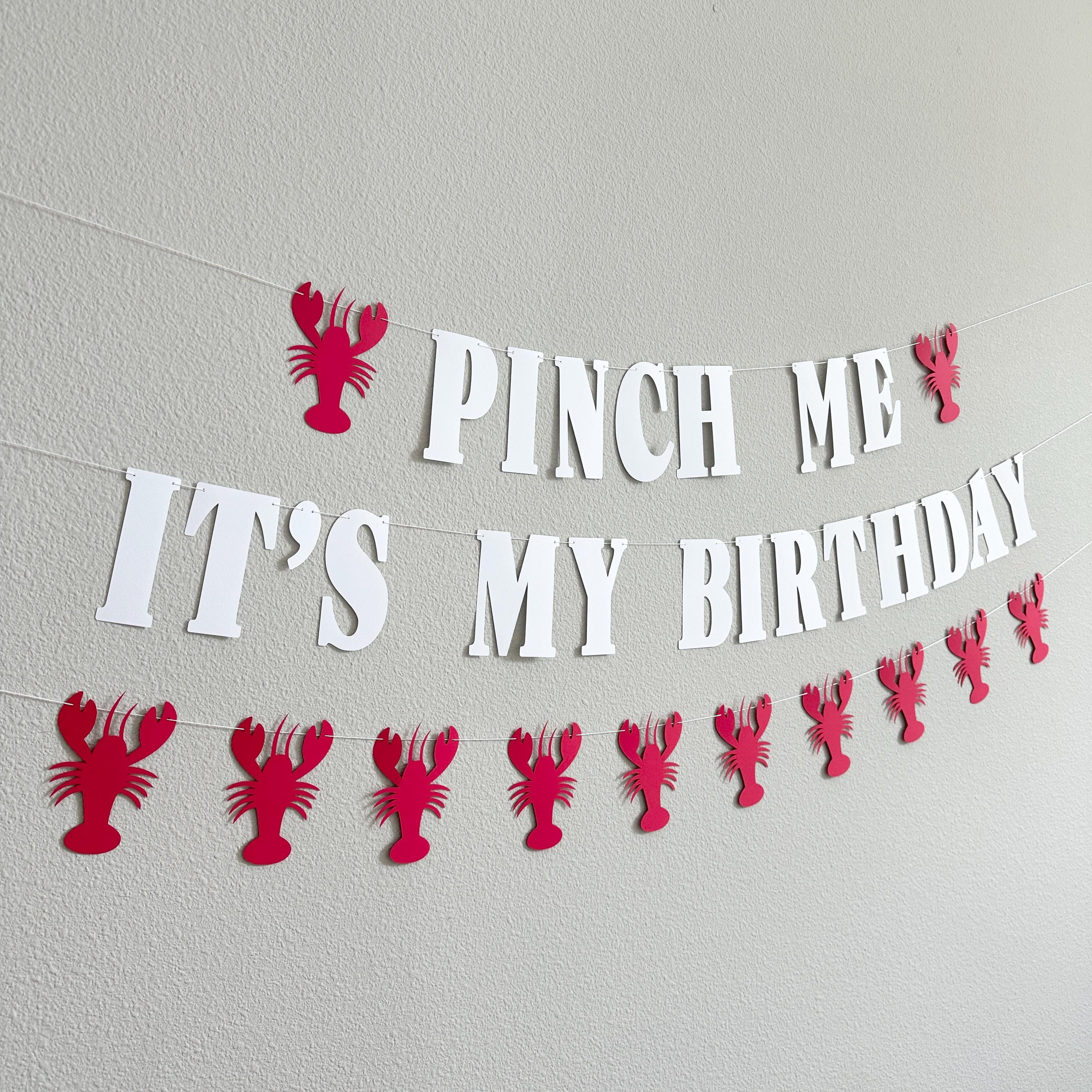 Pinch Me It&#39;s My Birthday Lobster Banner, Lobster Birthday Decorations, Pinch Me Party Lobster Decorations