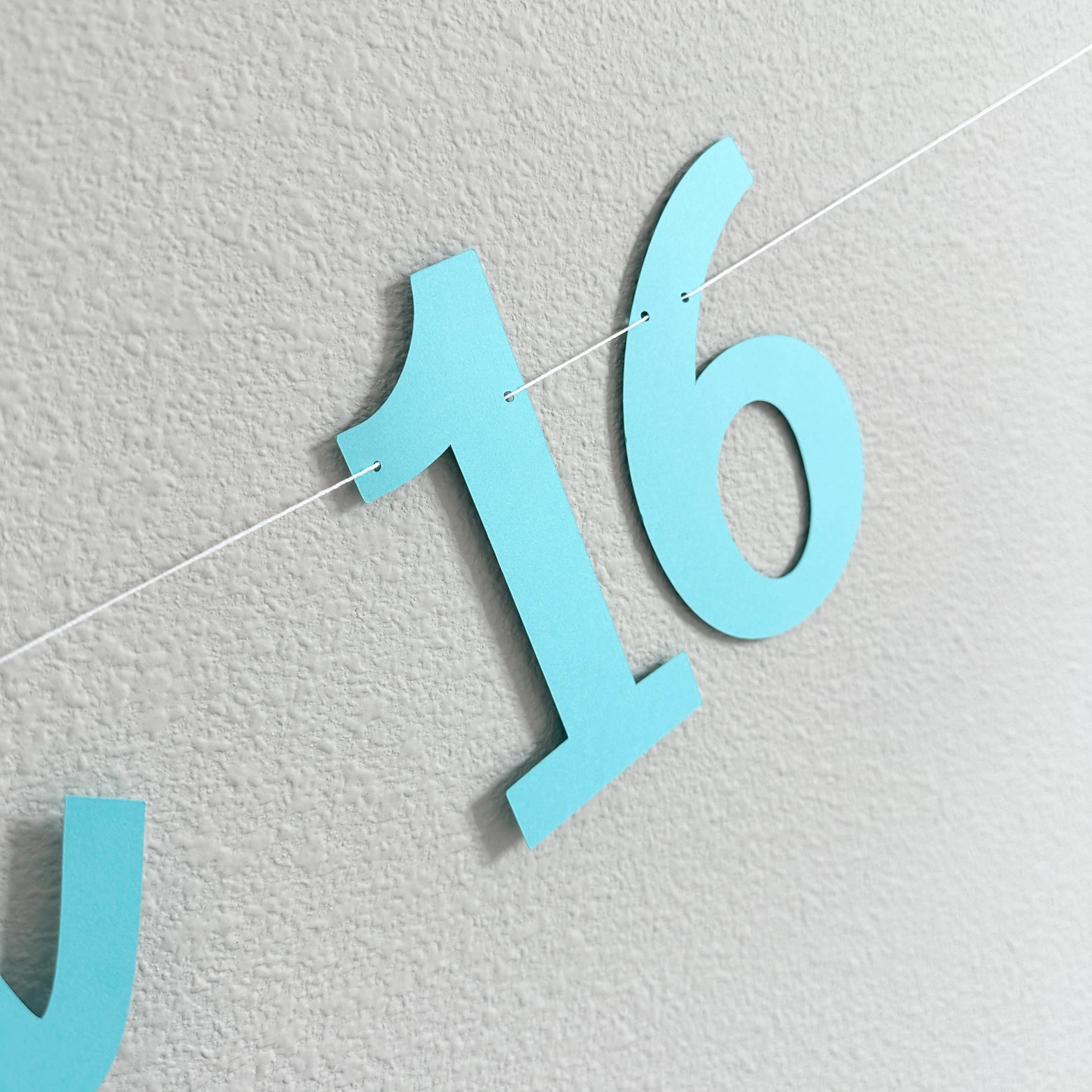 The Summer I Turned 16, 16th Birthday Party, Summertime Birthday Banner, Summer Birthday Decorations, The Summer I Turned 16 Banner