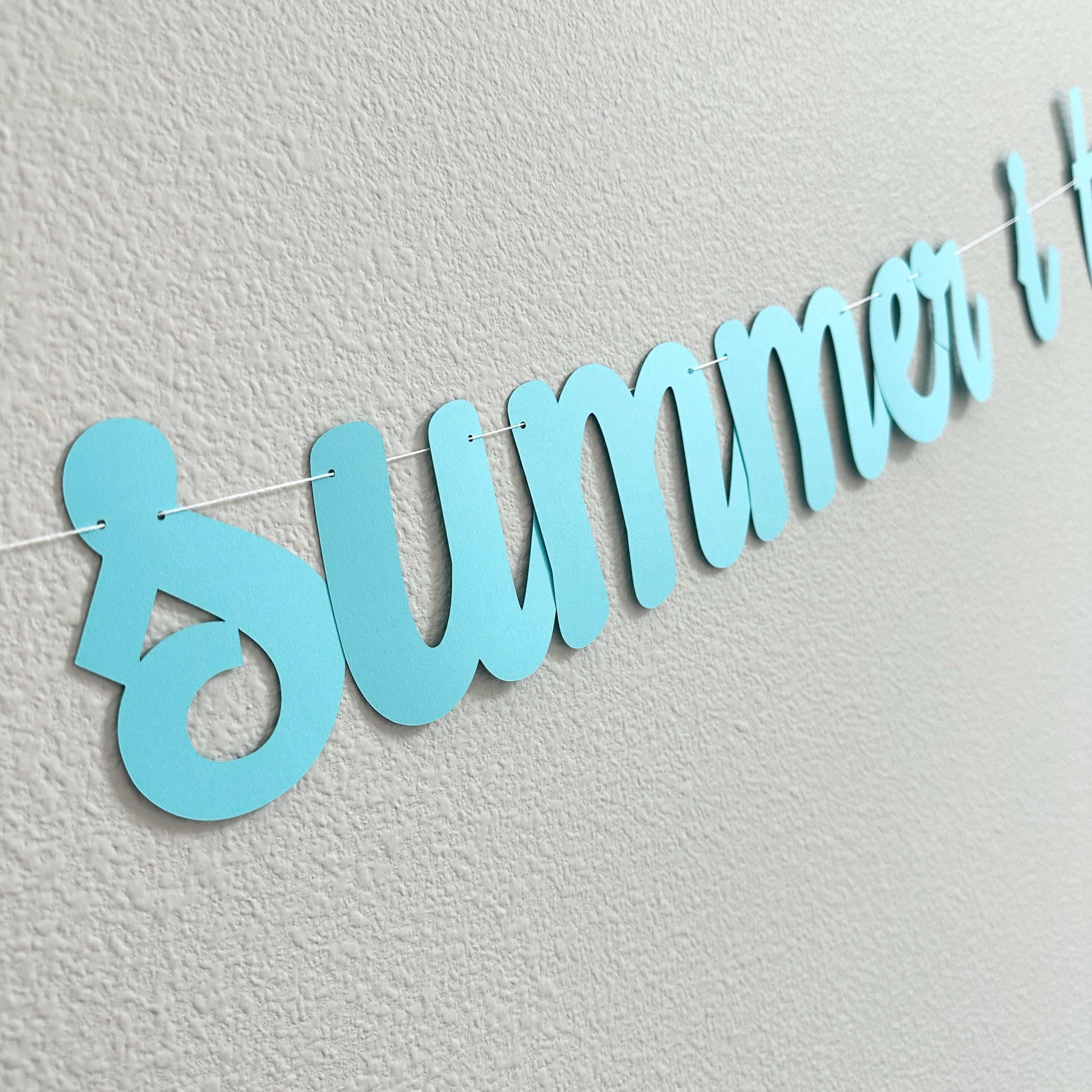 The Summer I Turned 16, 16th Birthday Party, Summertime Birthday Banner, Summer Birthday Decorations, The Summer I Turned 16 Banner