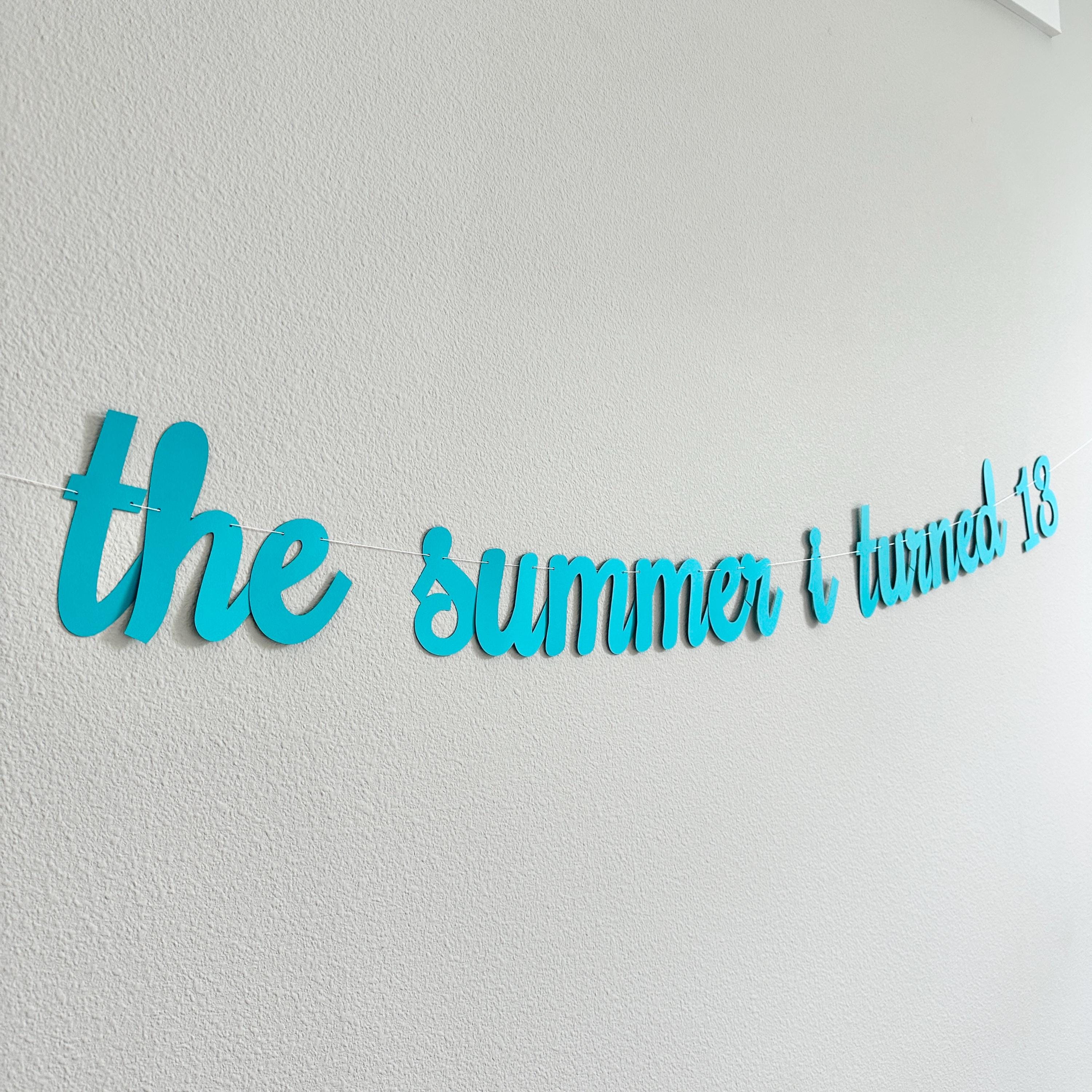 The Summer I Turned 13, 13th Birthday Party, Summertime Birthday Banner, Summer Birthday Decorations, The Summer I Turned 13 Banner