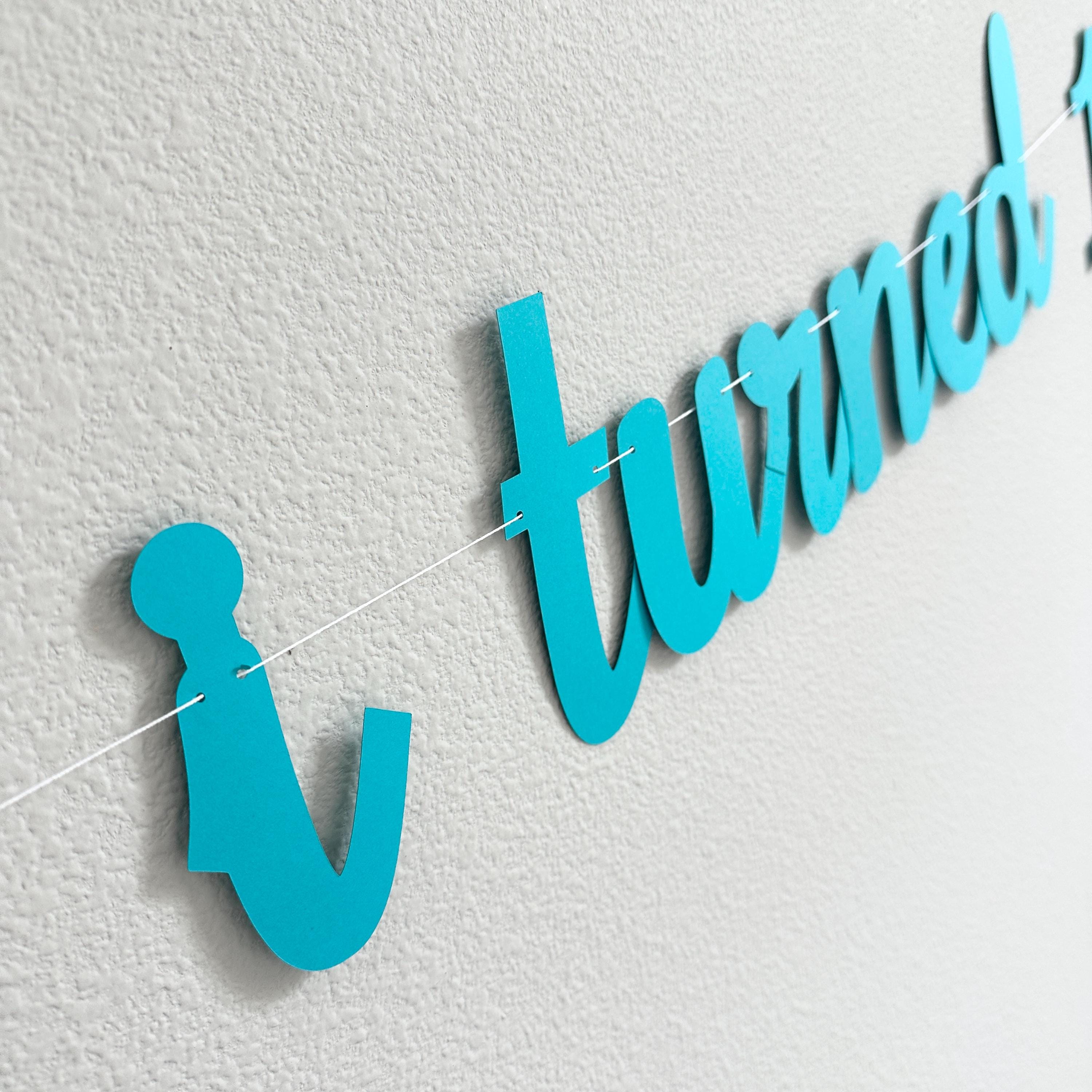 The Summer I Turned 13, 13th Birthday Party, Summertime Birthday Banner, Summer Birthday Decorations, The Summer I Turned 13 Banner