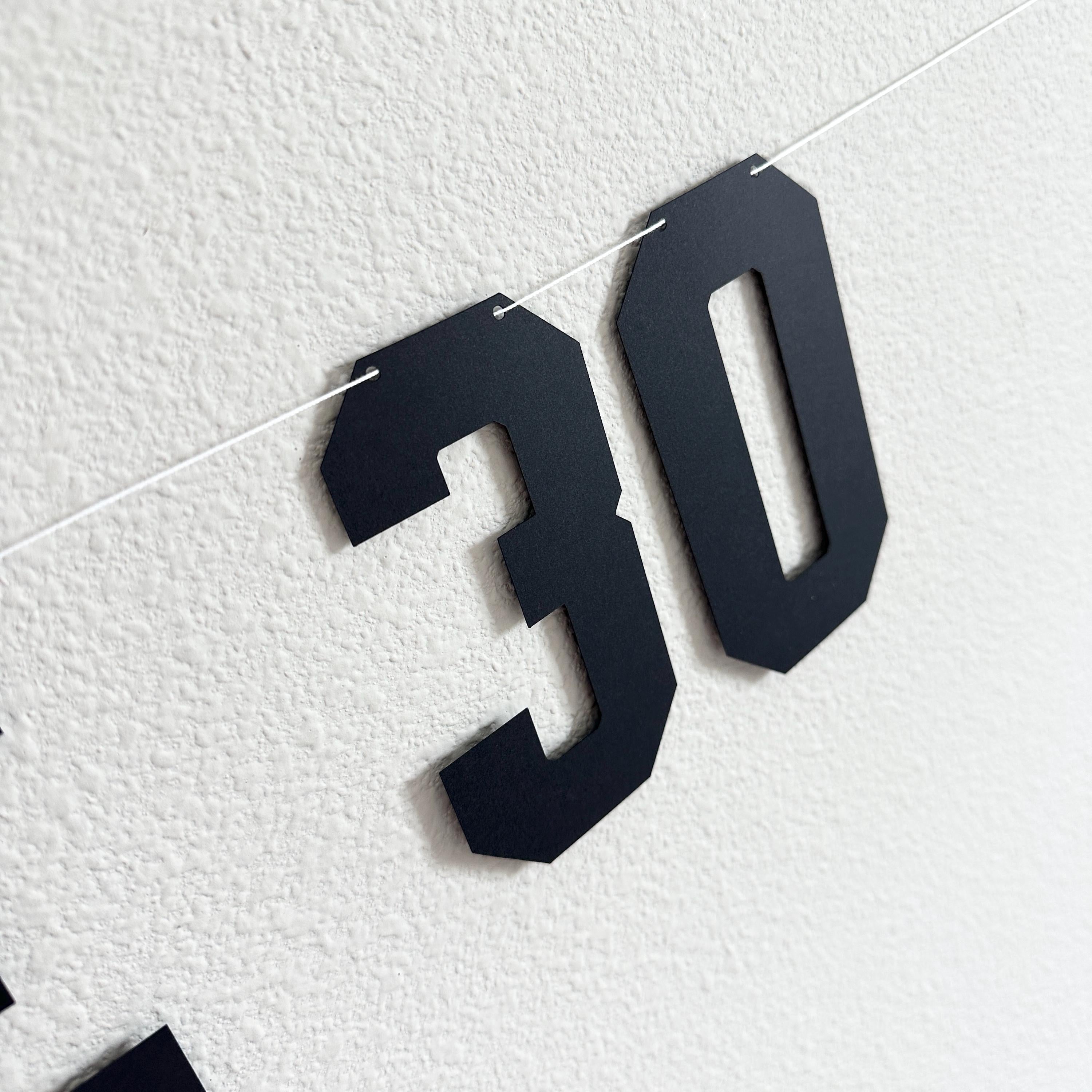 Holy Shit You&#39;re 30, 30th Birthday Banner, 30th Birthday Party Decorations, Funny Birthday Decorations, Funny Birthday Banner