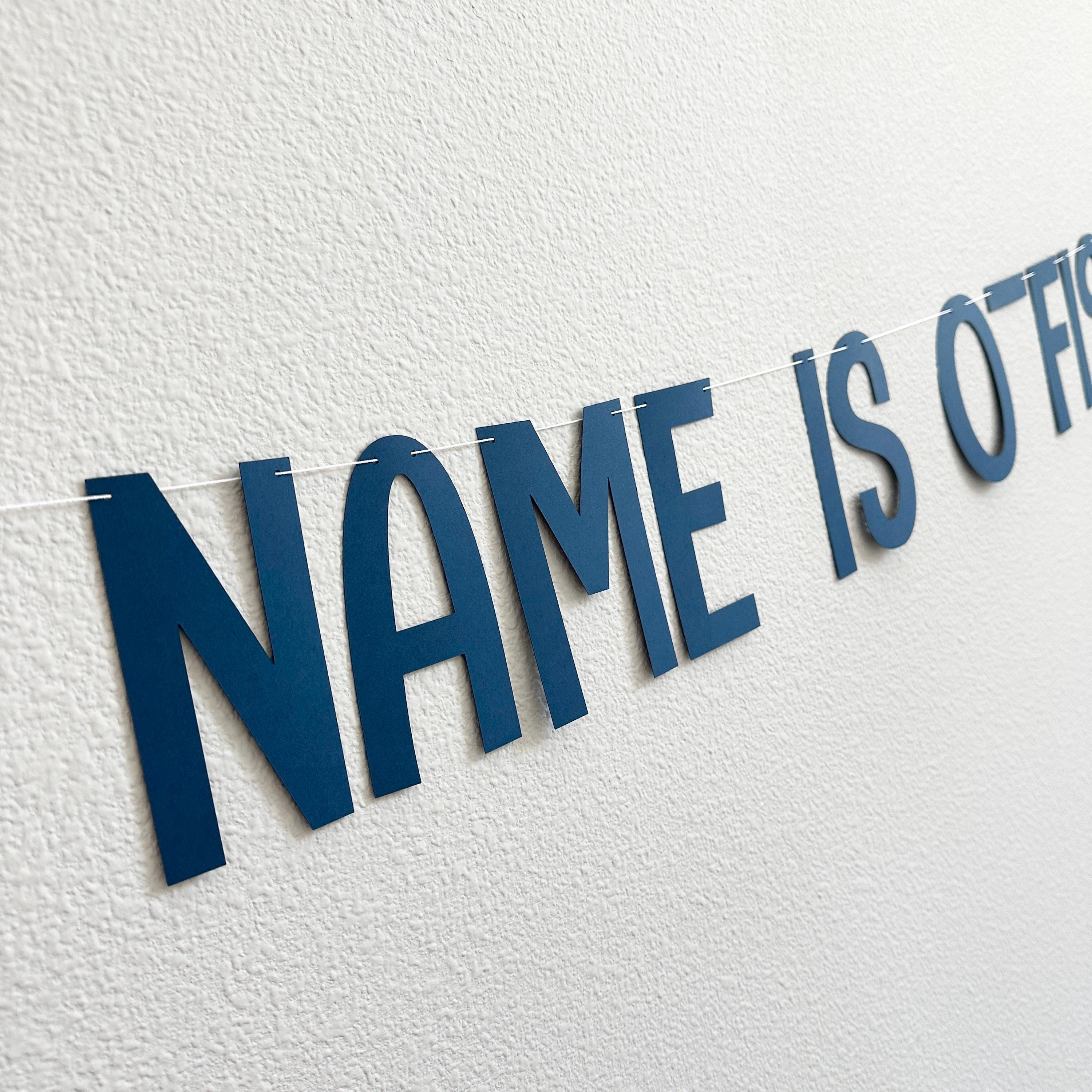 O-Fish-Ally Five, 5th Birthday Banner, Fish Themed Birthday Decorations, Fish Birthday, 5th birthday Party Ideas, Boys 5th Birthday