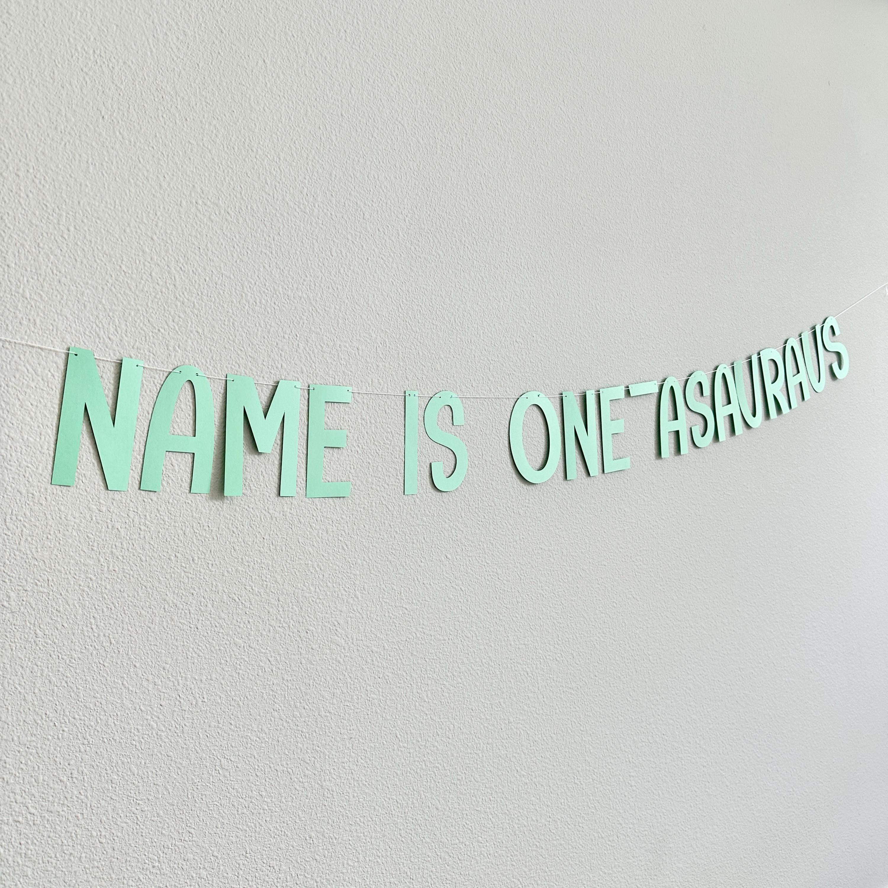 One-Asauraus, Dinosaur 1st Birthday Decorations, Name Is One-Asauraus, Dinosaur Party Banner, 1st Birthday Party Decorations