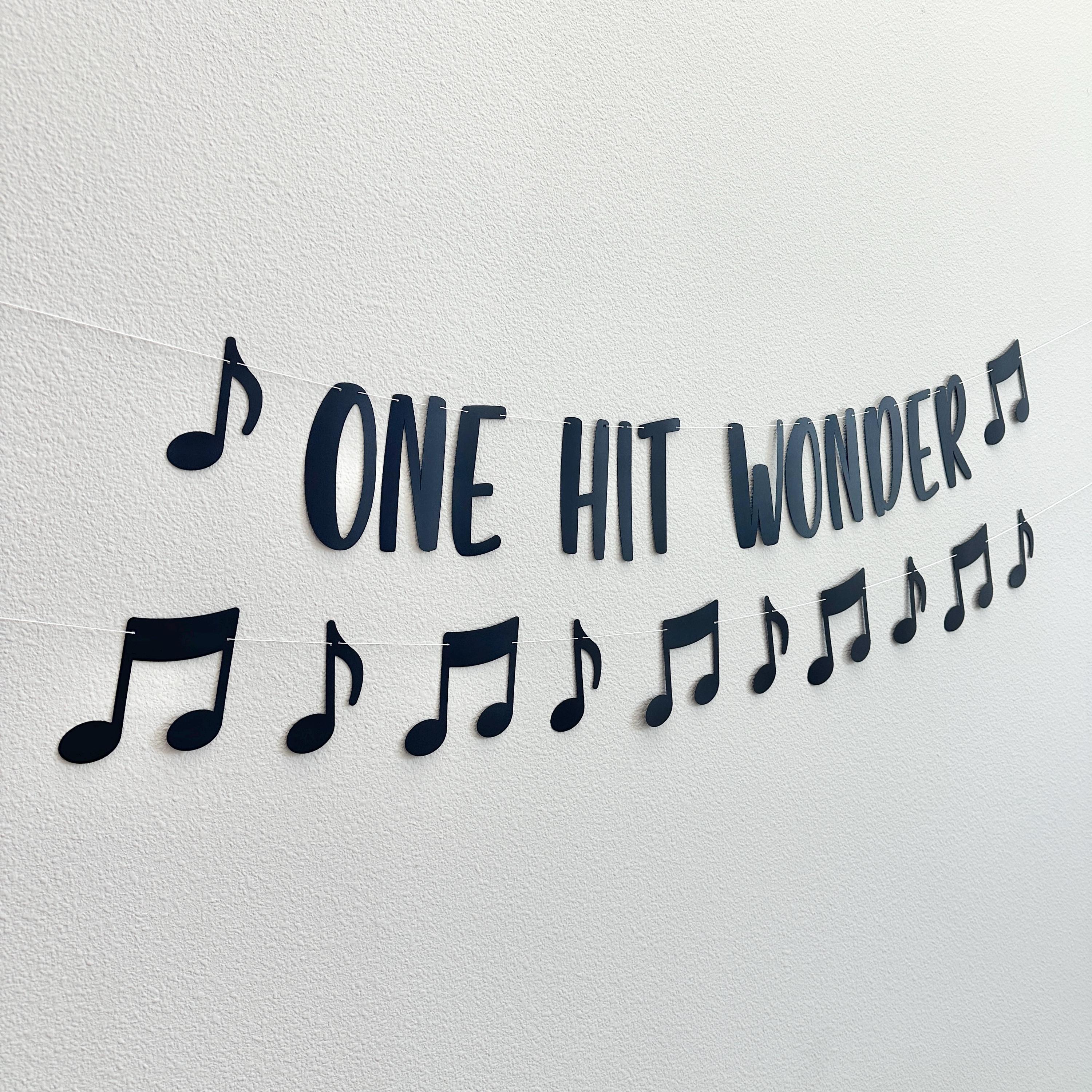 One Hit Wonder, Music Birthday Banner, Custom Music Banner, Music Theme, Music Decorations, Music Banner, Custom banner, 1st Birthday