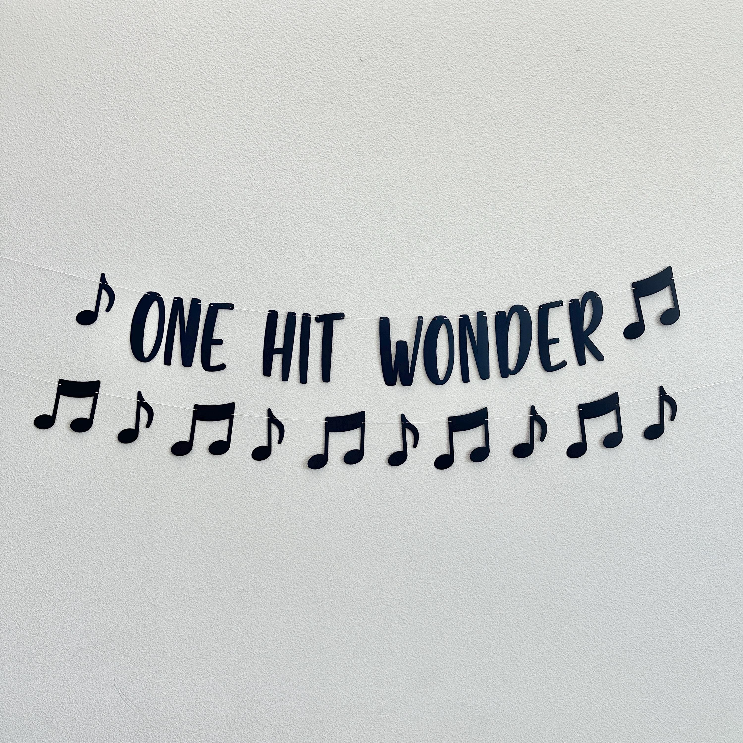 One Hit Wonder, Music Birthday Banner, Custom Music Banner, Music Theme, Music Decorations, Music Banner, Custom banner, 1st Birthday
