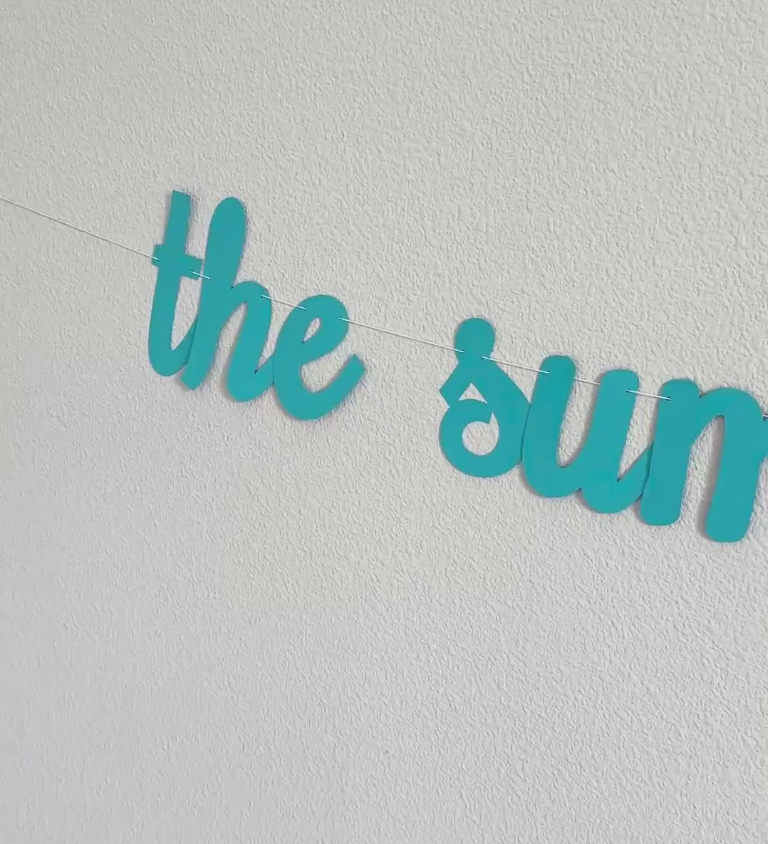 The Summer I Turned 13, 13th Birthday Party, Summertime Birthday Banner, Summer Birthday Decorations, The Summer I Turned 13 Banner