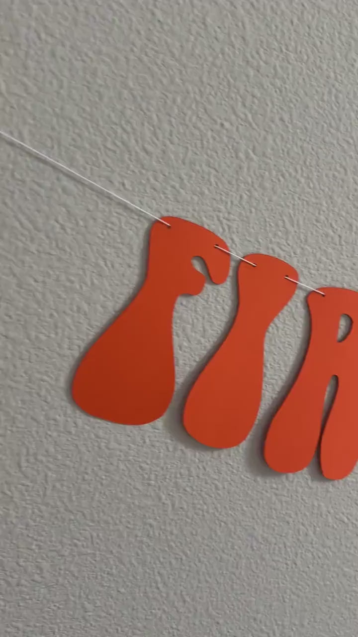 First Trip Around The Sun, 1sy Birthday Party Decoration Ideas, First Trip Around The Sun Banner, First Birthday Party Banner