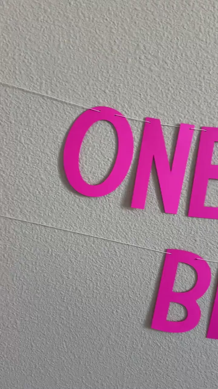 One Time For The Birthday Girl Banner, One Time For The Birthday Girl Decorations, Birthday Girl Banner, Pink Birthday Party Decorations