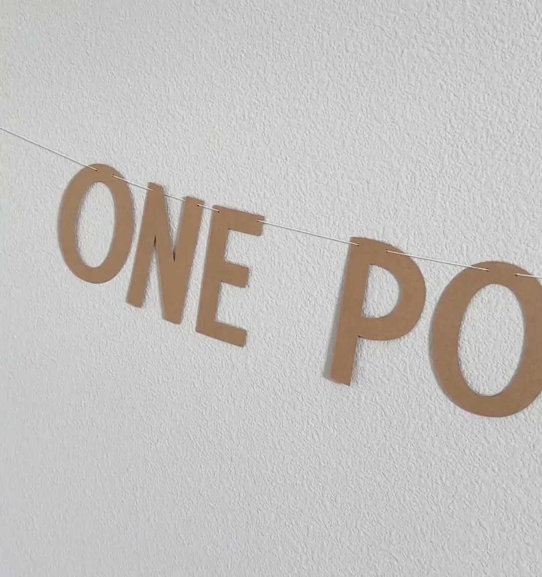 One Poppin Year Banner, One Poppin Year Decorations, First Anniversary Ideas, One Year Banner, 1 Year Celebration Decorations