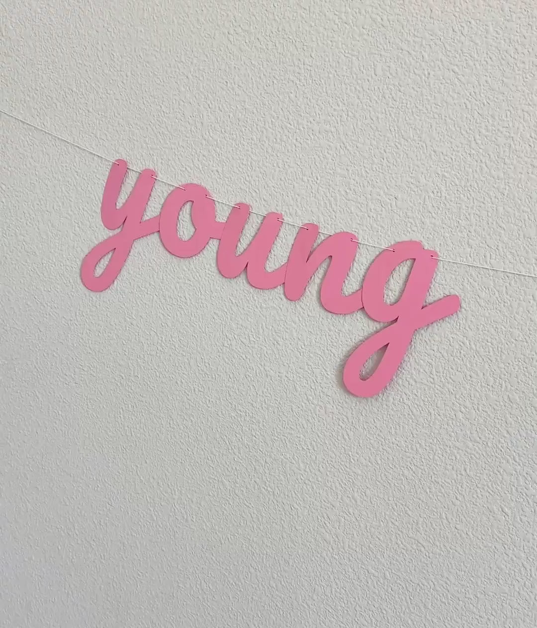 Young Wild & Three, Young Wild and Three Banner, 3rd Birthday Party, 3rd Birthday Banner, 3rd Birthday Party Decor