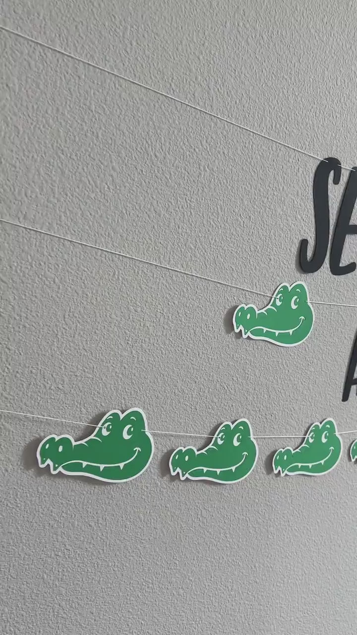 See You Later Alligator, Alligator Birthday Party, Alligator Decorations, Going Away Party, Graduation Party, Summer Break Party