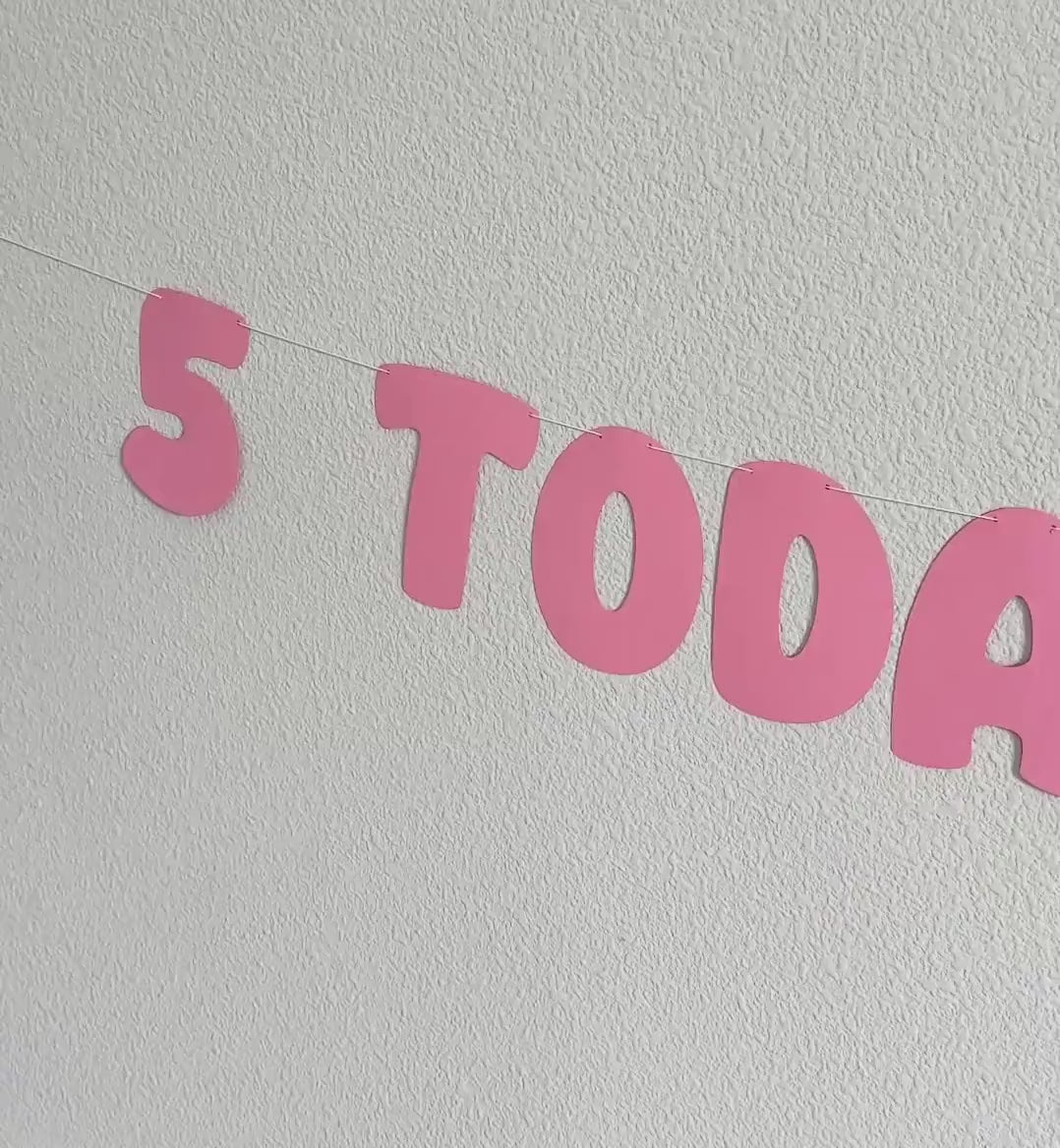 5 Today Hooray!, 5th Birthday Banner, 5th Birthday Party Decorations, 5th Birthday Party Ideas, Bold Birthday Banner, Pink Birthday Party
