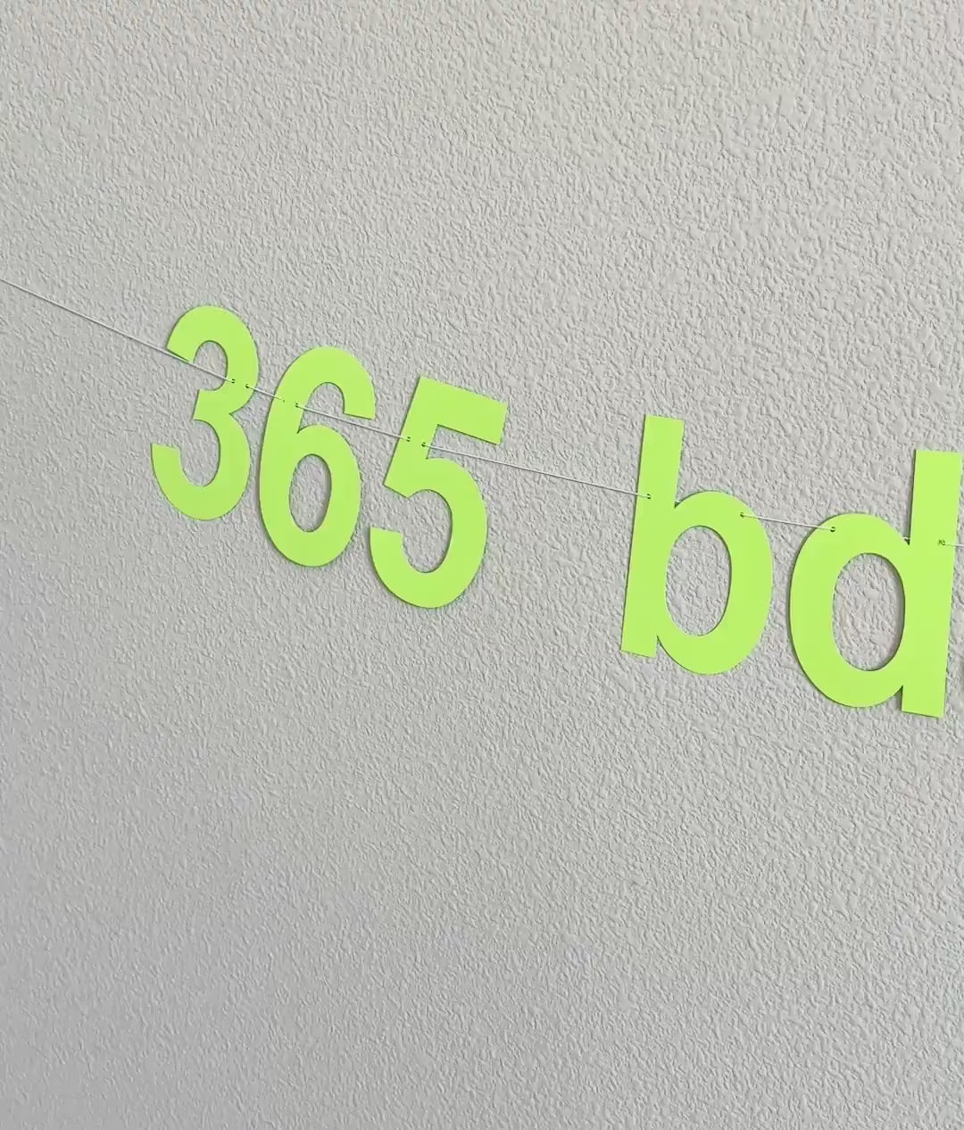 365 Bday Boy, 365 Bday Boy Banner, 365 Bday Boy Decorations, Brat, Brat Decorations, Brat Birthday Party Ideas, Brat Theme