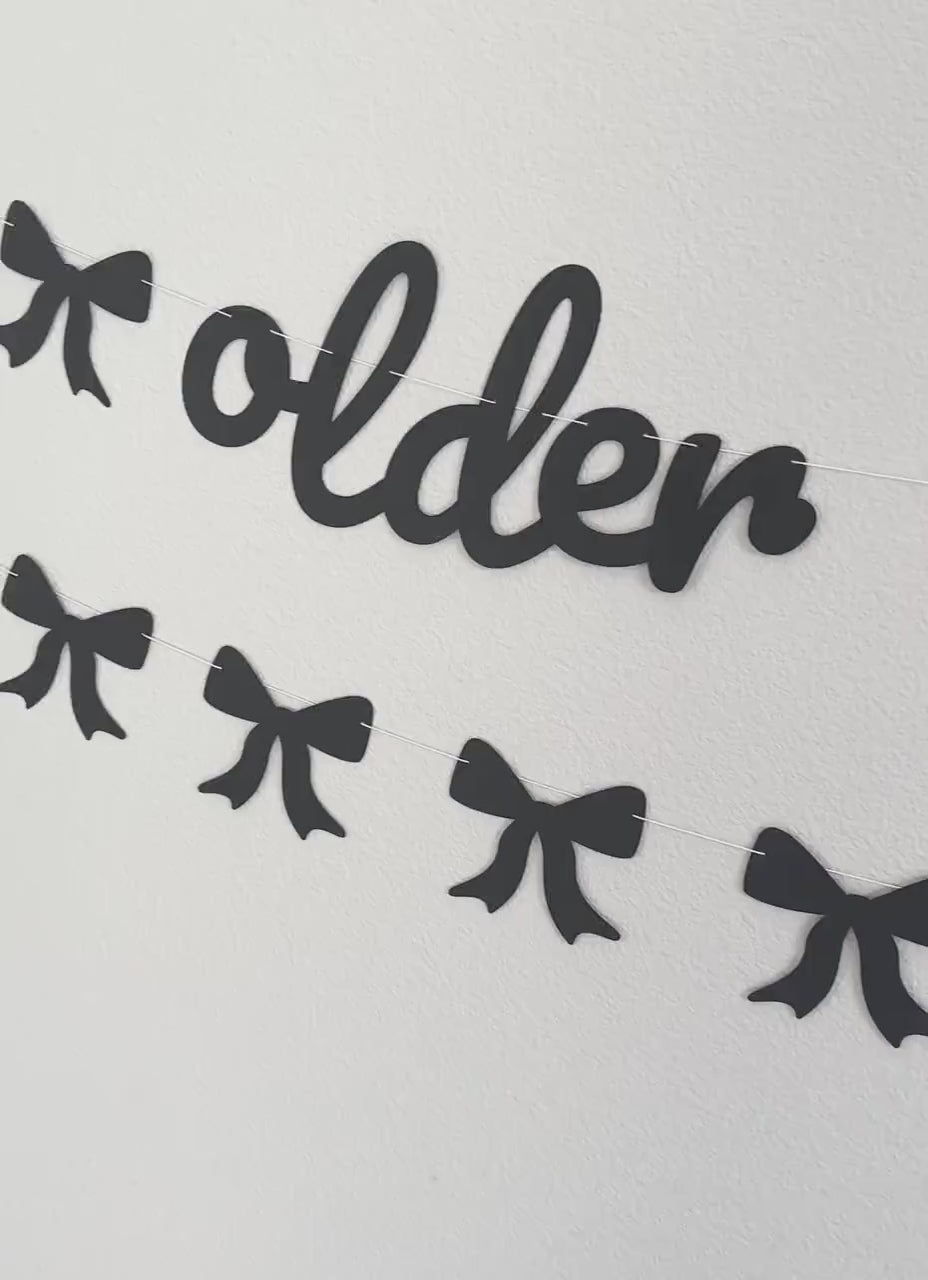 Older Hotter Wiser, Women&#39;s Birthday Ideas, Funny Birthday Banner, Grandma Birthday Party Decorations