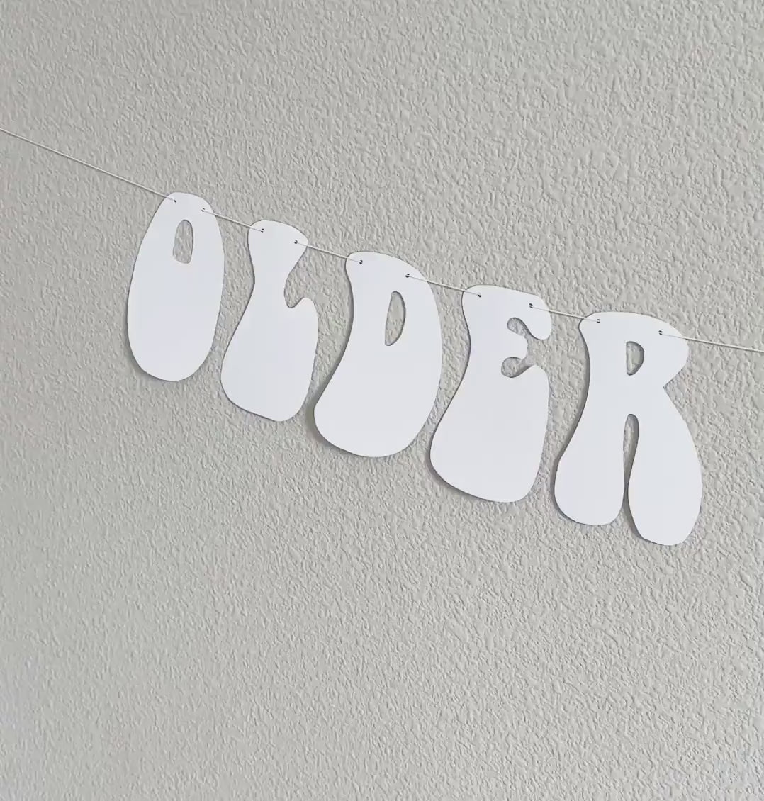 Older Hotter Wiser, Women&#39;s Birthday Ideas, Funny Birthday Banner, Grandma Birthday Party Decorations, Retro Themed Birthday Decorations
