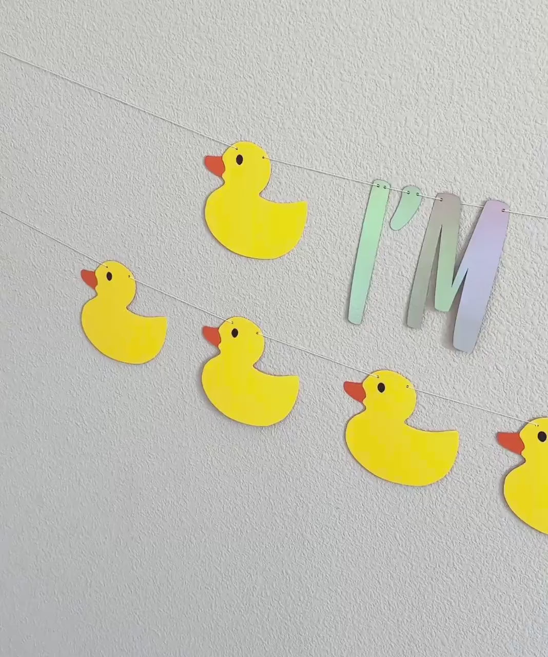 I&#39;m Ducking 15, 15th Birthday Party Banner, 15th Birthday Party Theme Ideas, Duck 15th Birthday Decorations, Fifteen