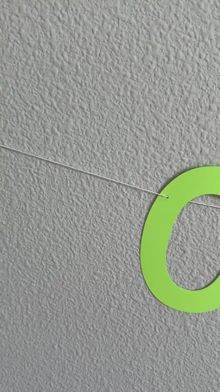 Custom Banner, Custom Lime Green Banner, Custom Lime Green Decorations, Lime Green Party Decorations