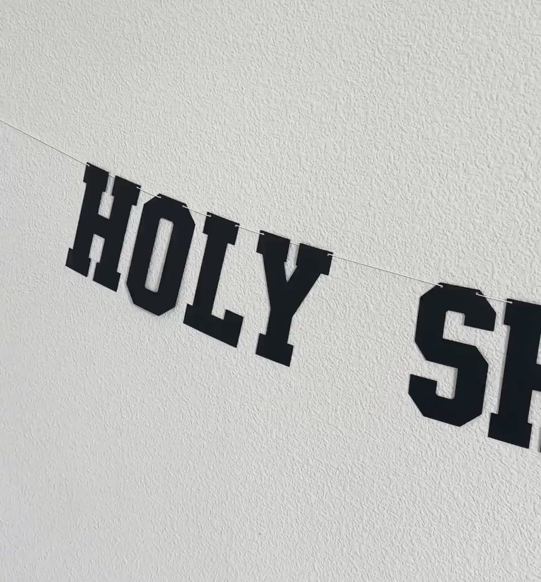 Holy Shit You&#39;re 30, 30th Birthday Banner, 30th Birthday Party Decorations, Funny Birthday Decorations, Funny Birthday Banner