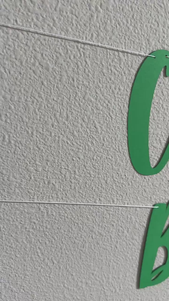 Custom Banner, Custom Green Banner, Customizable Banner, Custom Fun Font Banner, Custom Sign, Green Banner, Green Decorations