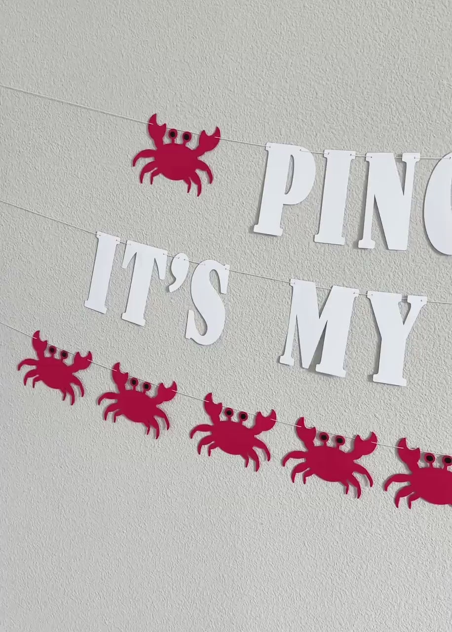 Pinch Me It&#39;s My Birthday, Crab Birthday Decorations, Crab Birthday Party Celebration, Crab Birthday Party Sign, Pinch Me Party