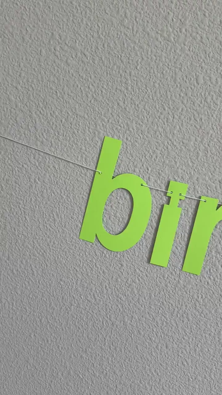 Birthday Brat, Birthday Brat Banner, Birthday Brat Decorations, Birthday Ideas, Brat Theme, Birthday Theme Ideas, Adult Birthday Party