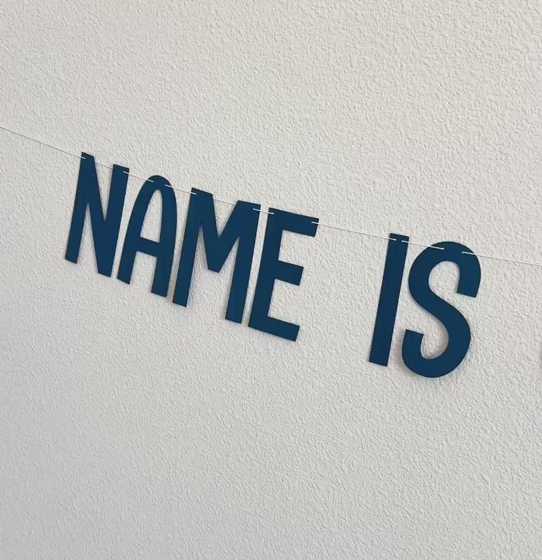 O-Fish-Ally Five, 5th Birthday Banner, Fish Themed Birthday Decorations, Fish Birthday, 5th birthday Party Ideas, Boys 5th Birthday